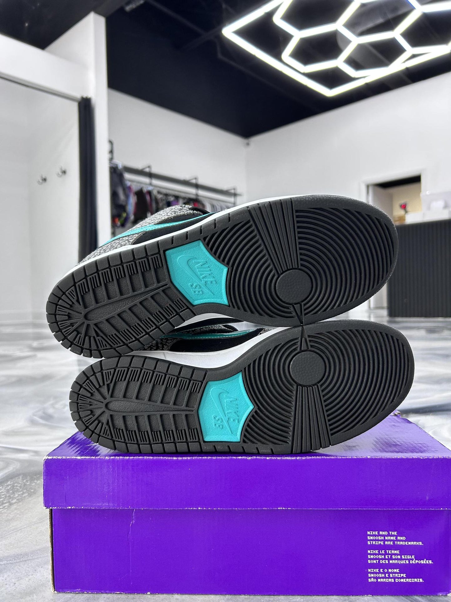Nike Atmos SB "Atmos" Used Size 10