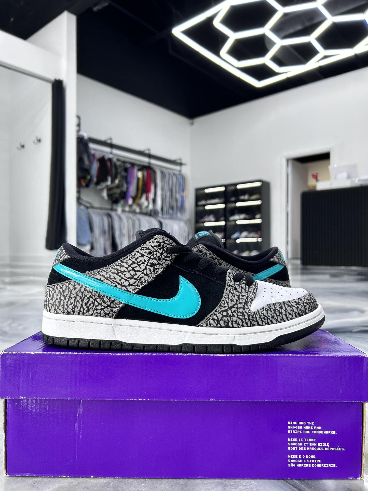 Nike Atmos SB "Atmos" Used Size 10