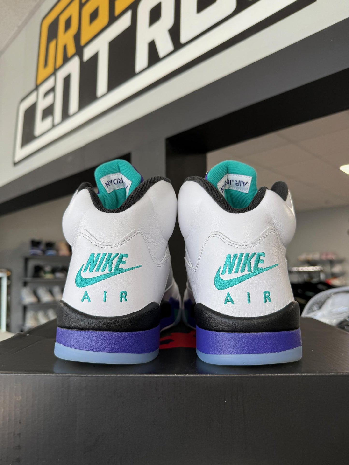 Jordan 5 "Grape" Used Size 9.5