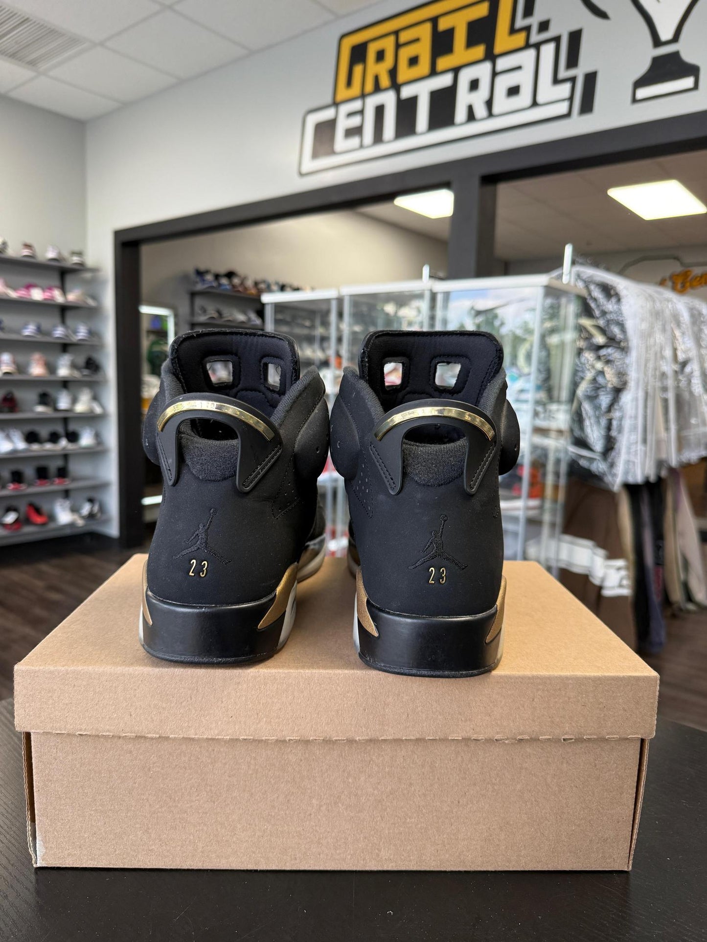 Jordan 6 "DMP" Used Size 11