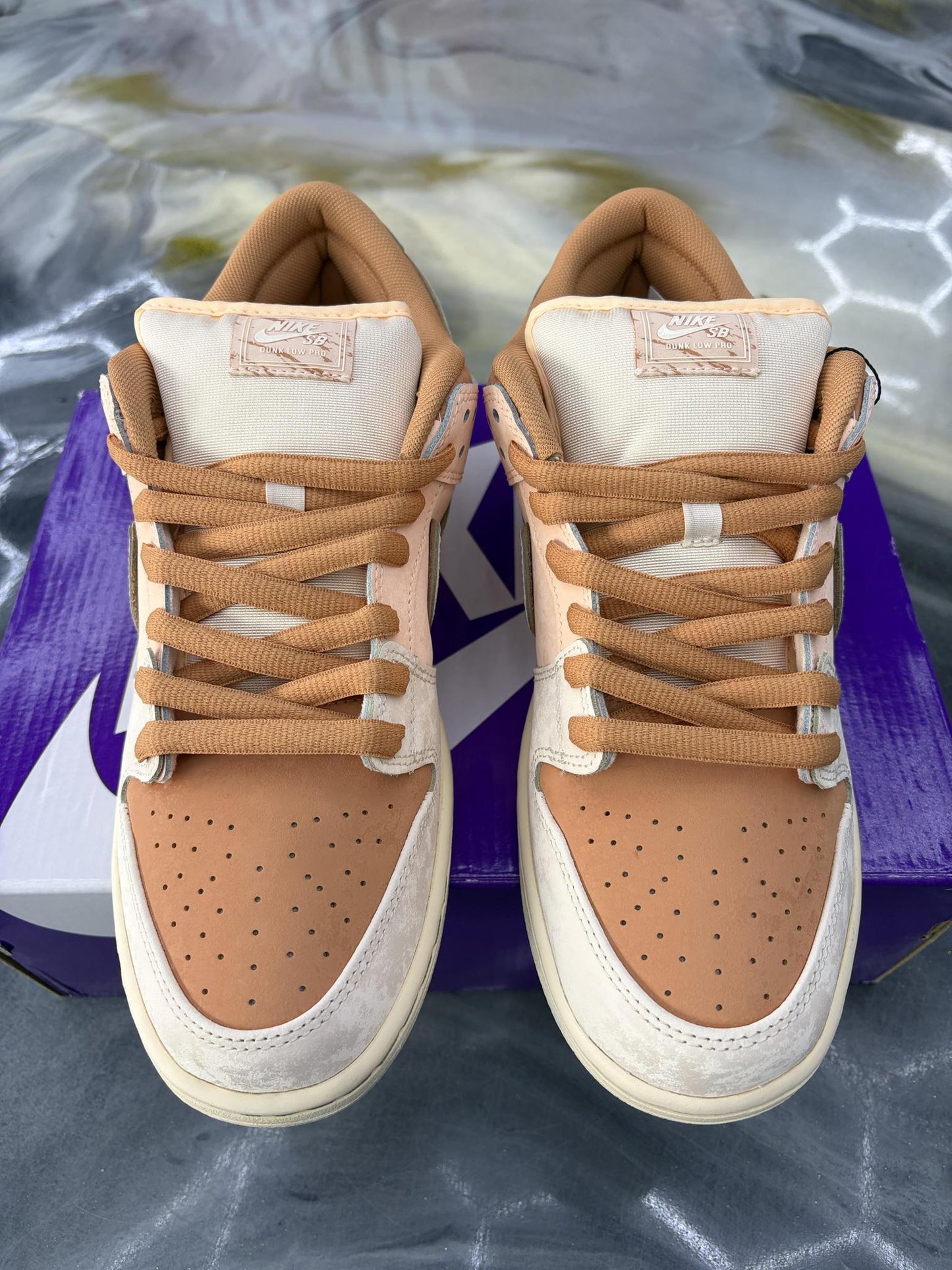 Nike SB Dunk Low "Trocadéro Gardens" Used Size 10.5