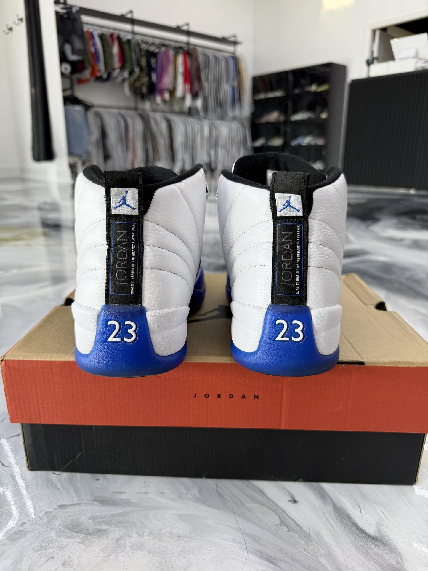 Jordan 12 "Blueberry" Used Size 11