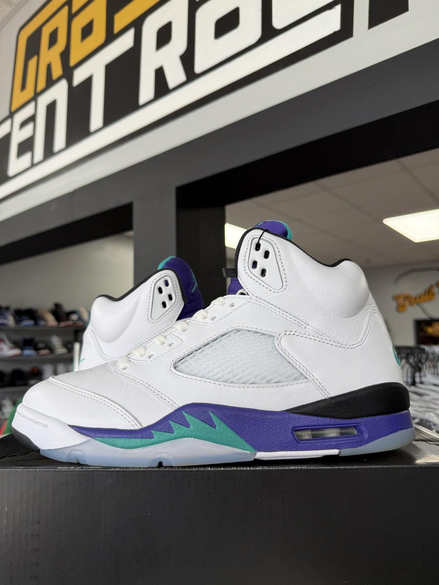 Jordan 5 "Grape" Used Size 9.5