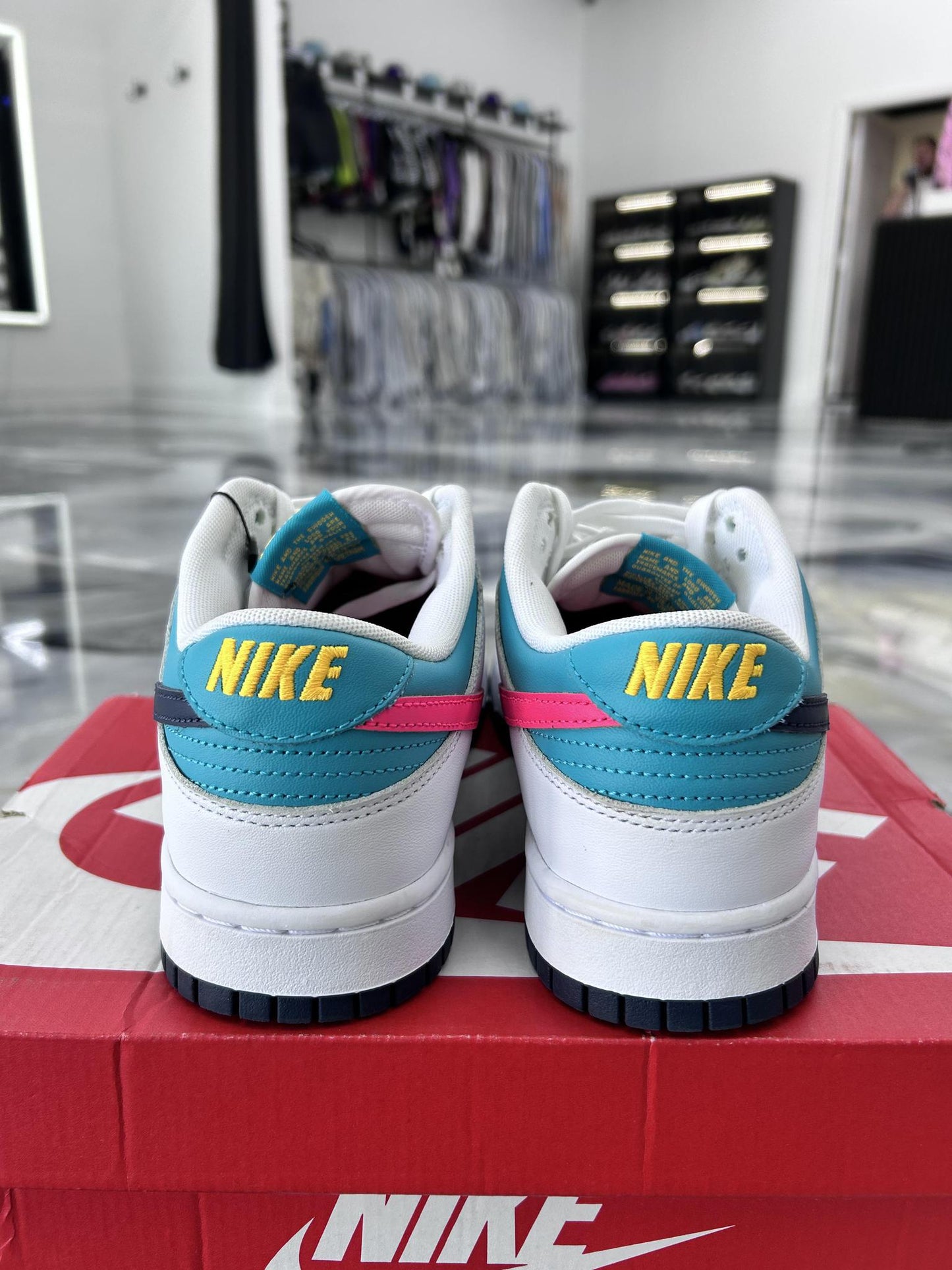 Nike Dunk Low "Dusty Cactus" Used Size 10.5