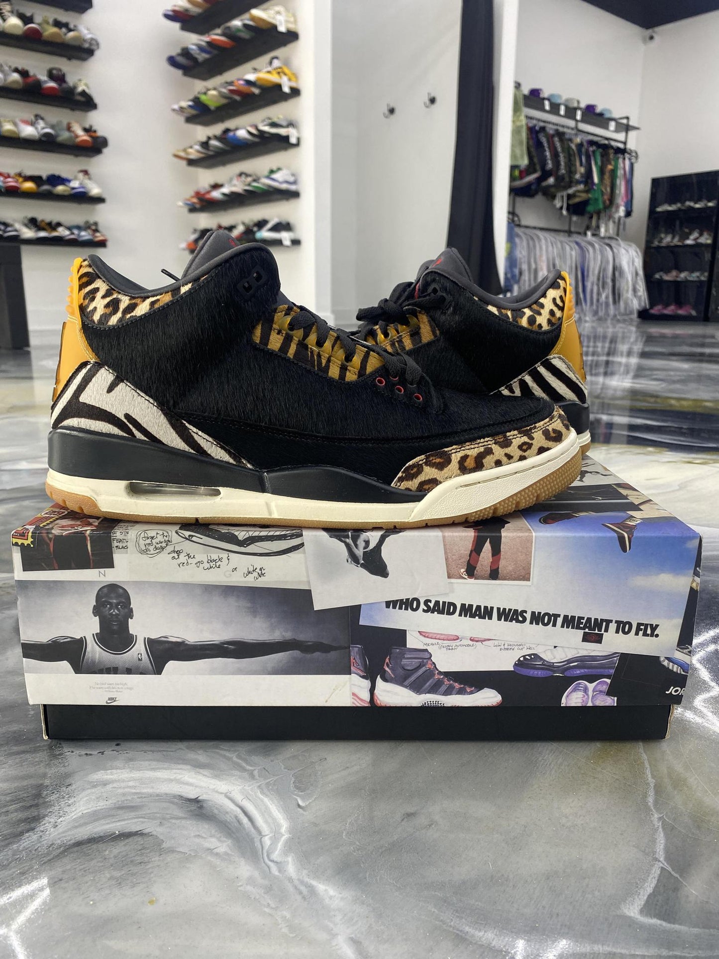 Jordan 3 "Animal Ambition" Used Size 12