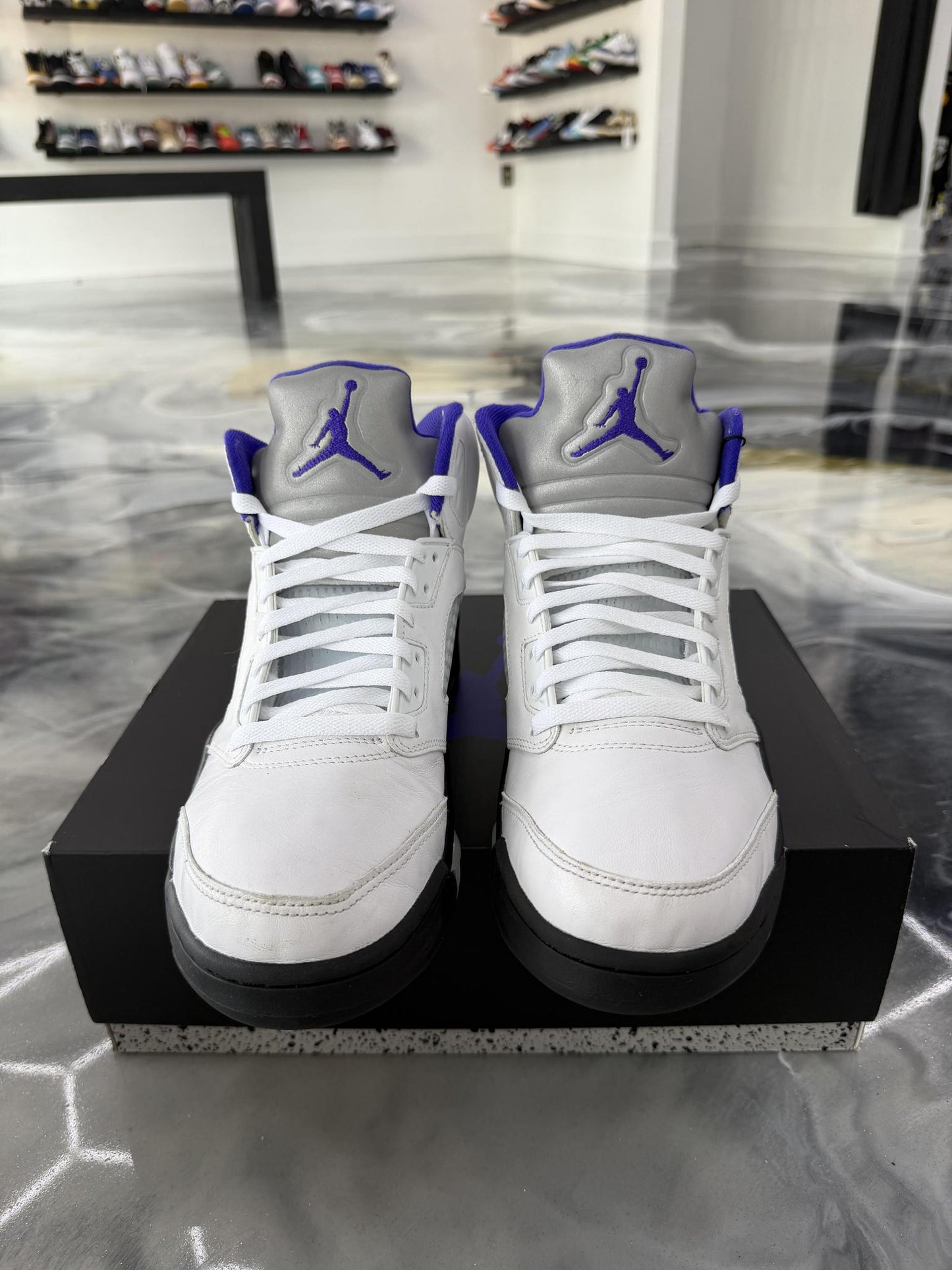 Jordan 5 "Dark Concord" Used Size 10
