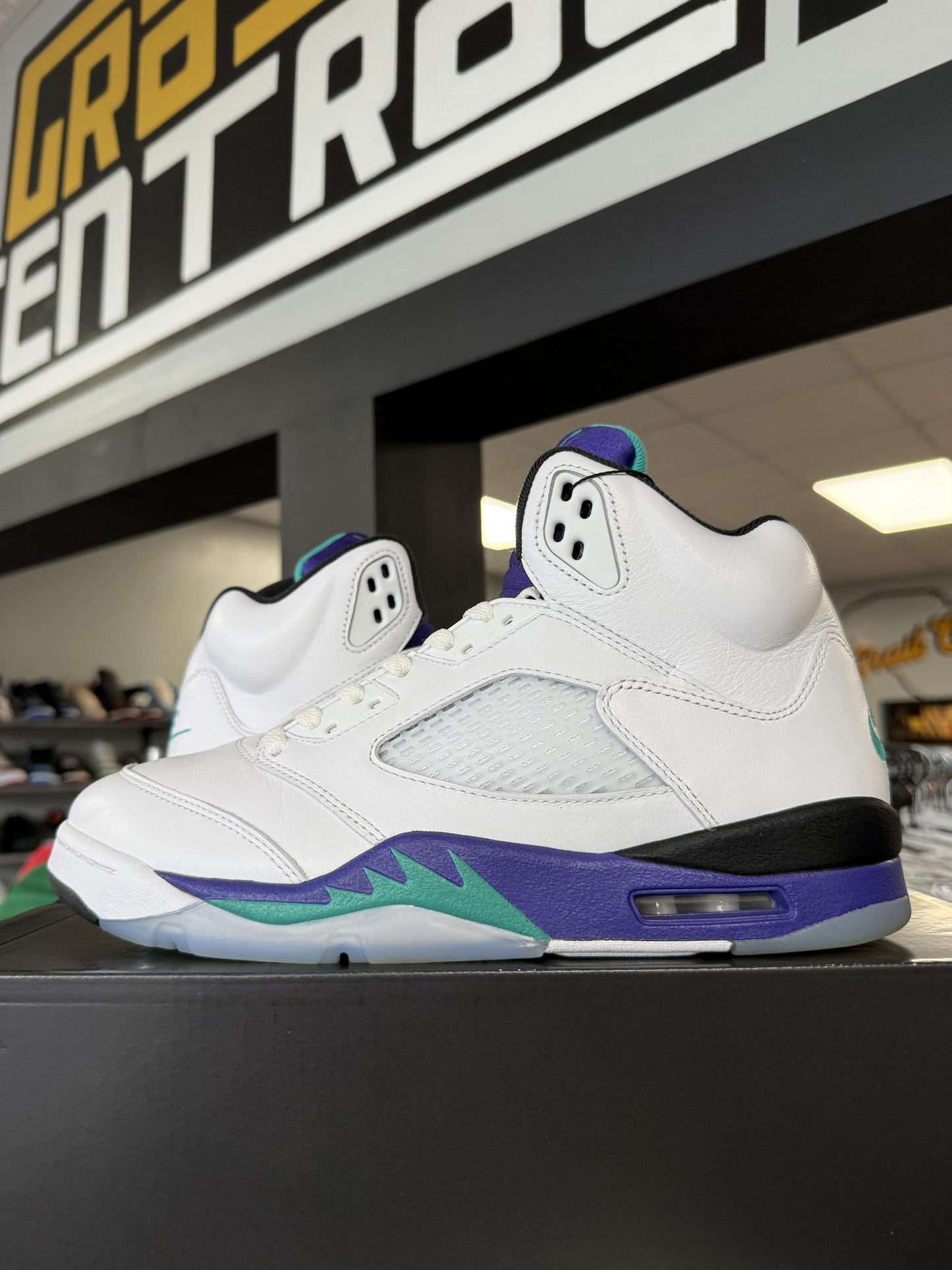 Jordan 5 "Grape" Used Size 10