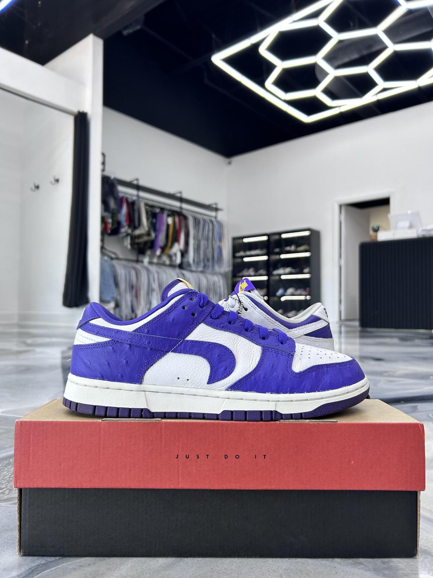 Nike Dunk Low "Flip the Old School" Used Size 8.5M/10W