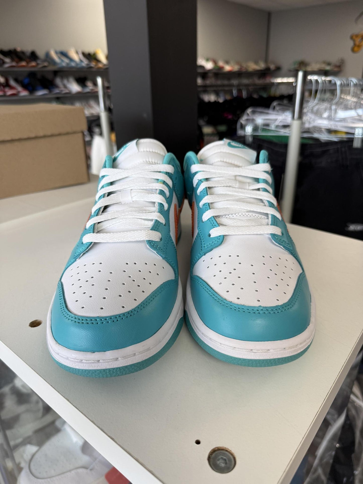 Nike Dunk Low "Dolphins" Used Size 10.5