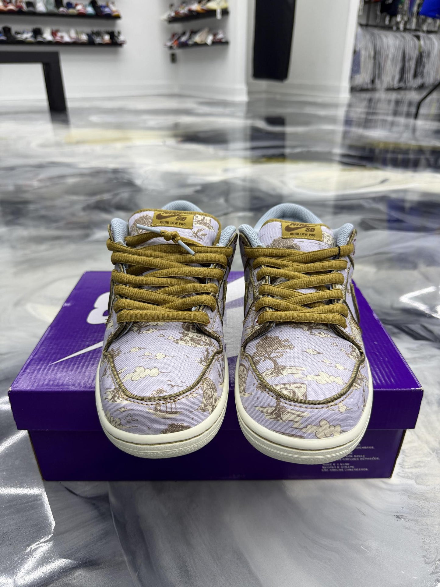 Nike SB Dunk Low City Of Style Used Size 9.5