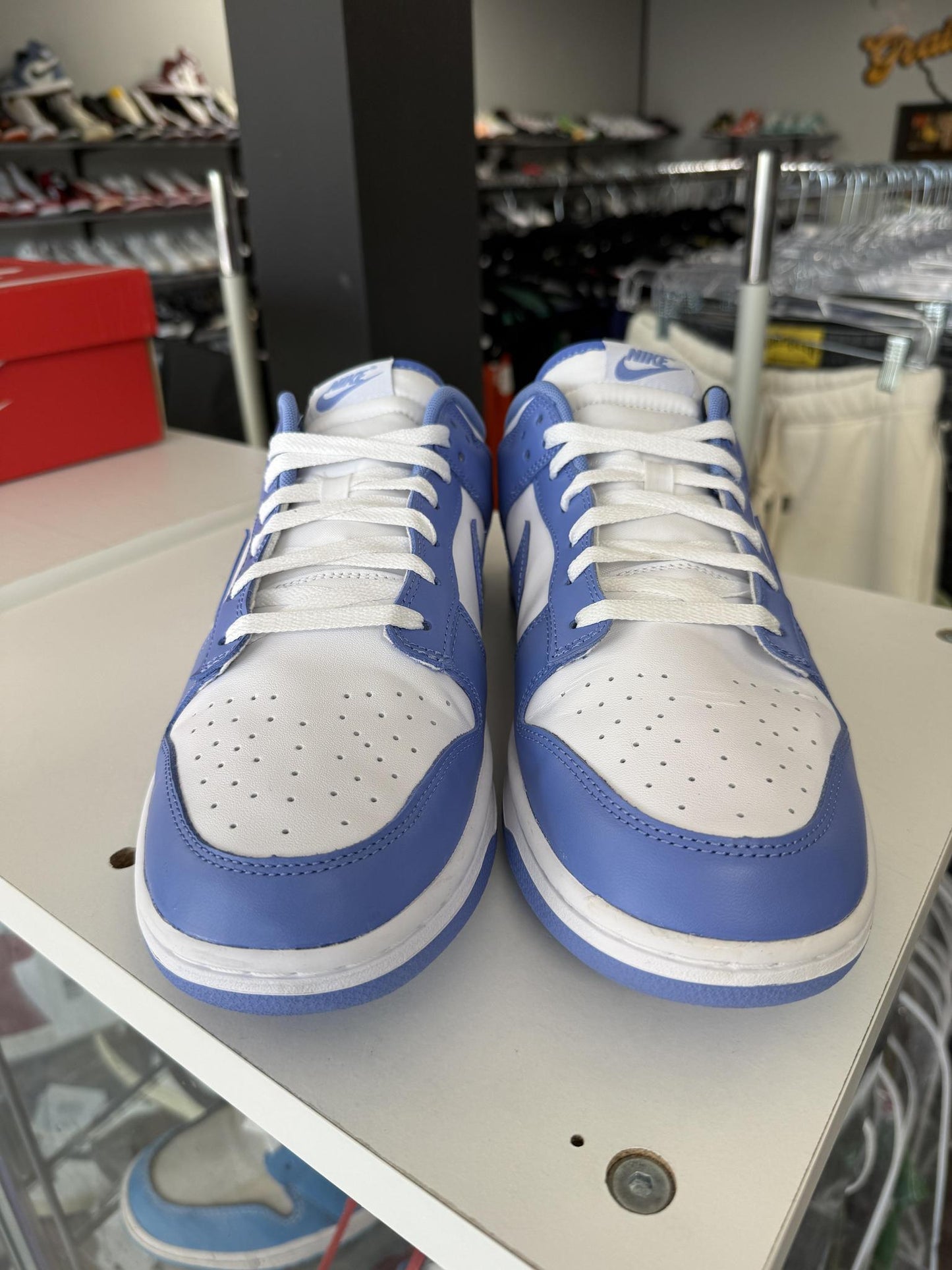 Dunk Low "Polar Blue" Used Size 13