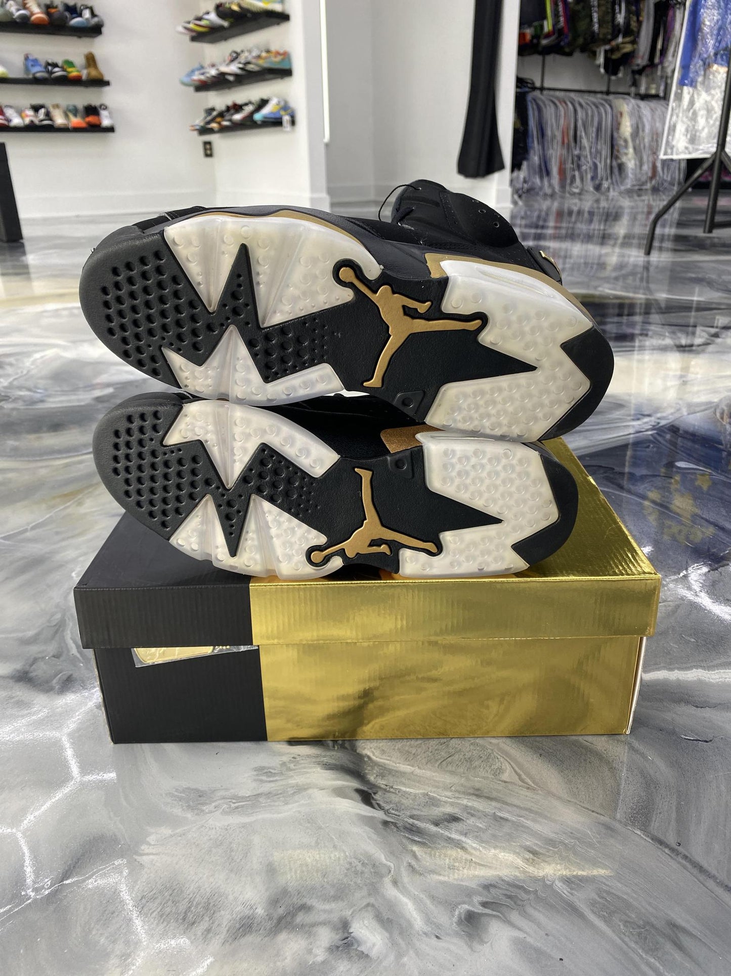 Jordan 6 "DMP" Used 9