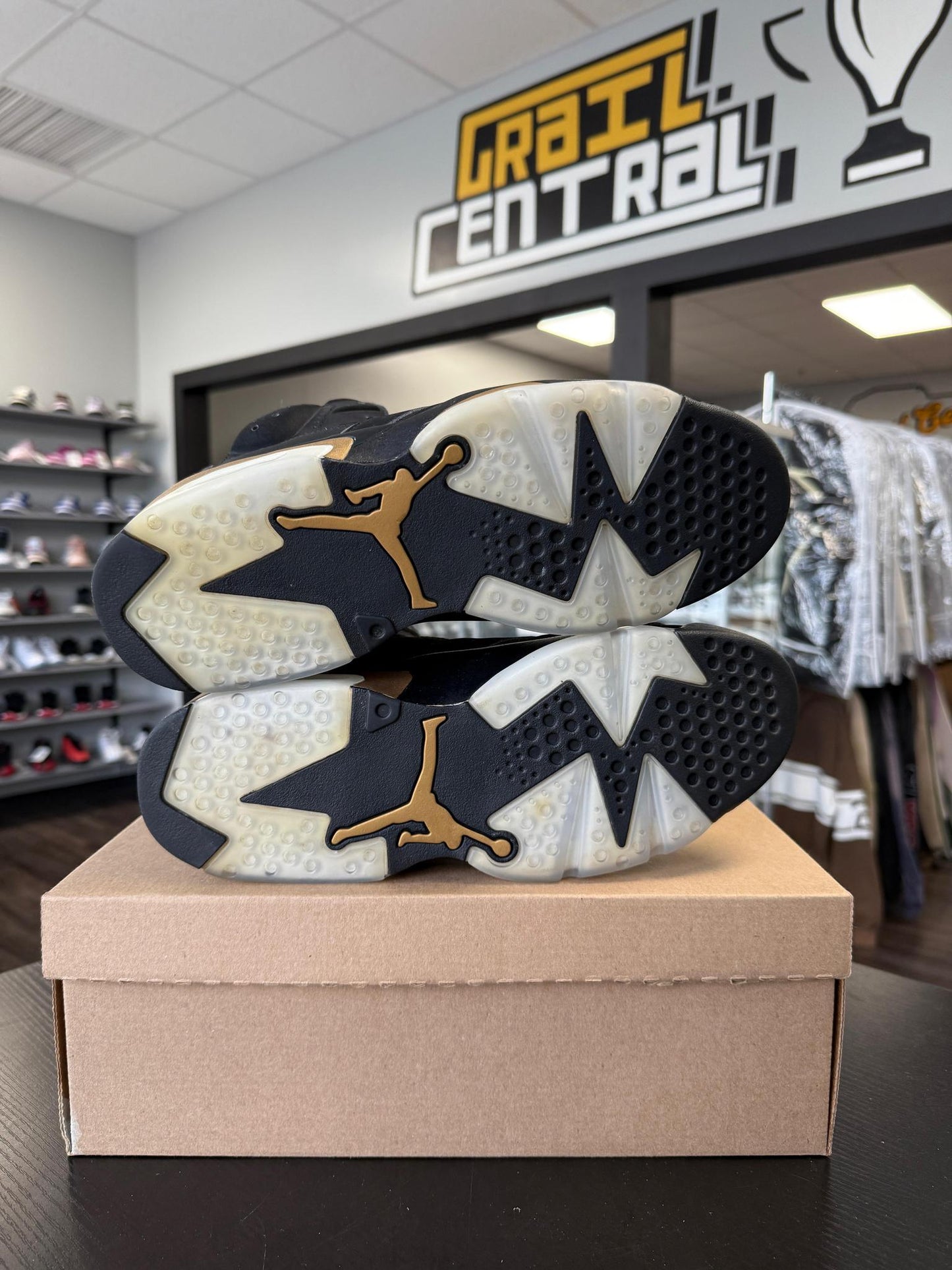 Jordan 6 "DMP" Used Size 11