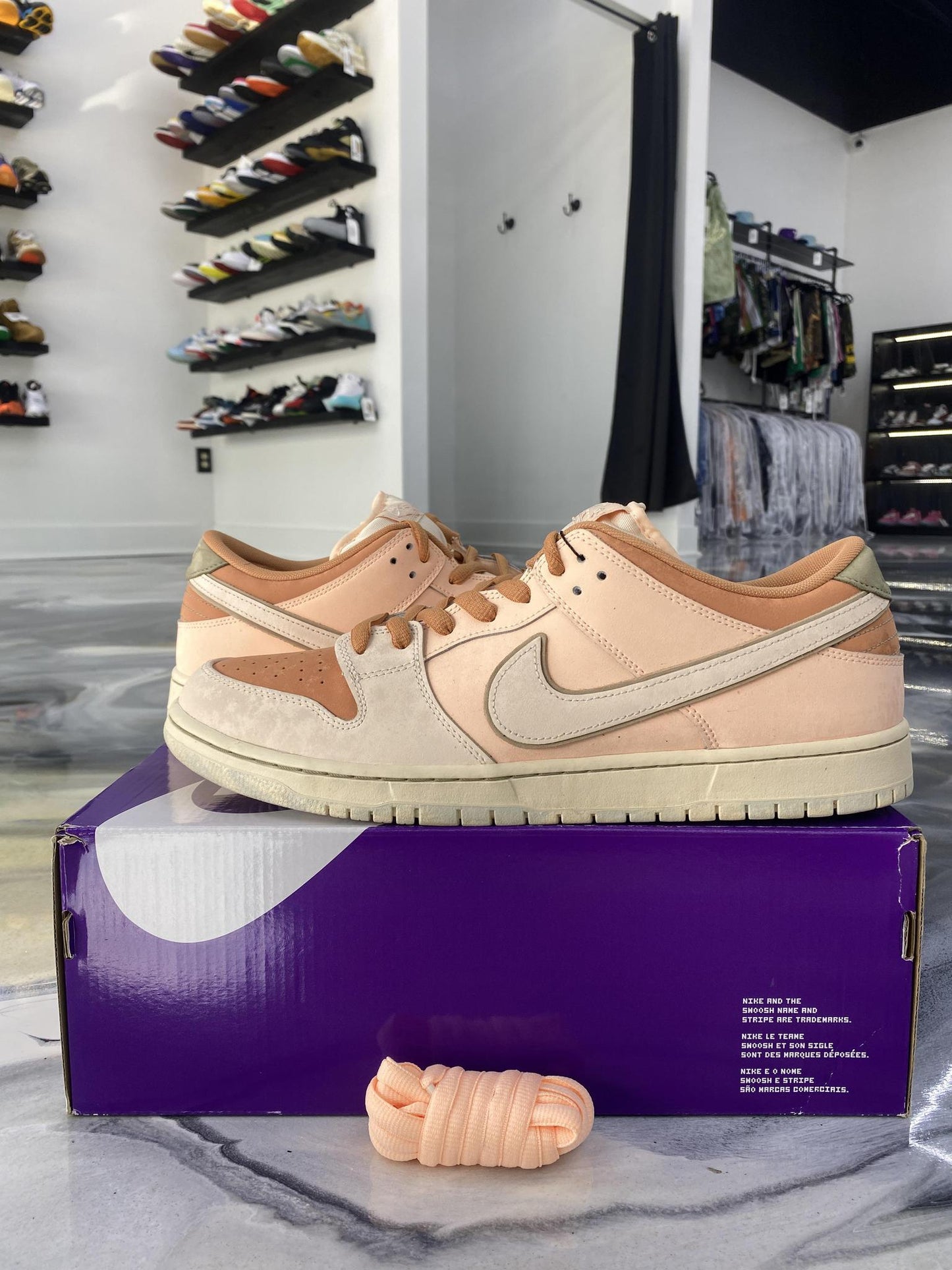 Nike SB Dunk Low "Trocadero Gardens" Used Size 15
