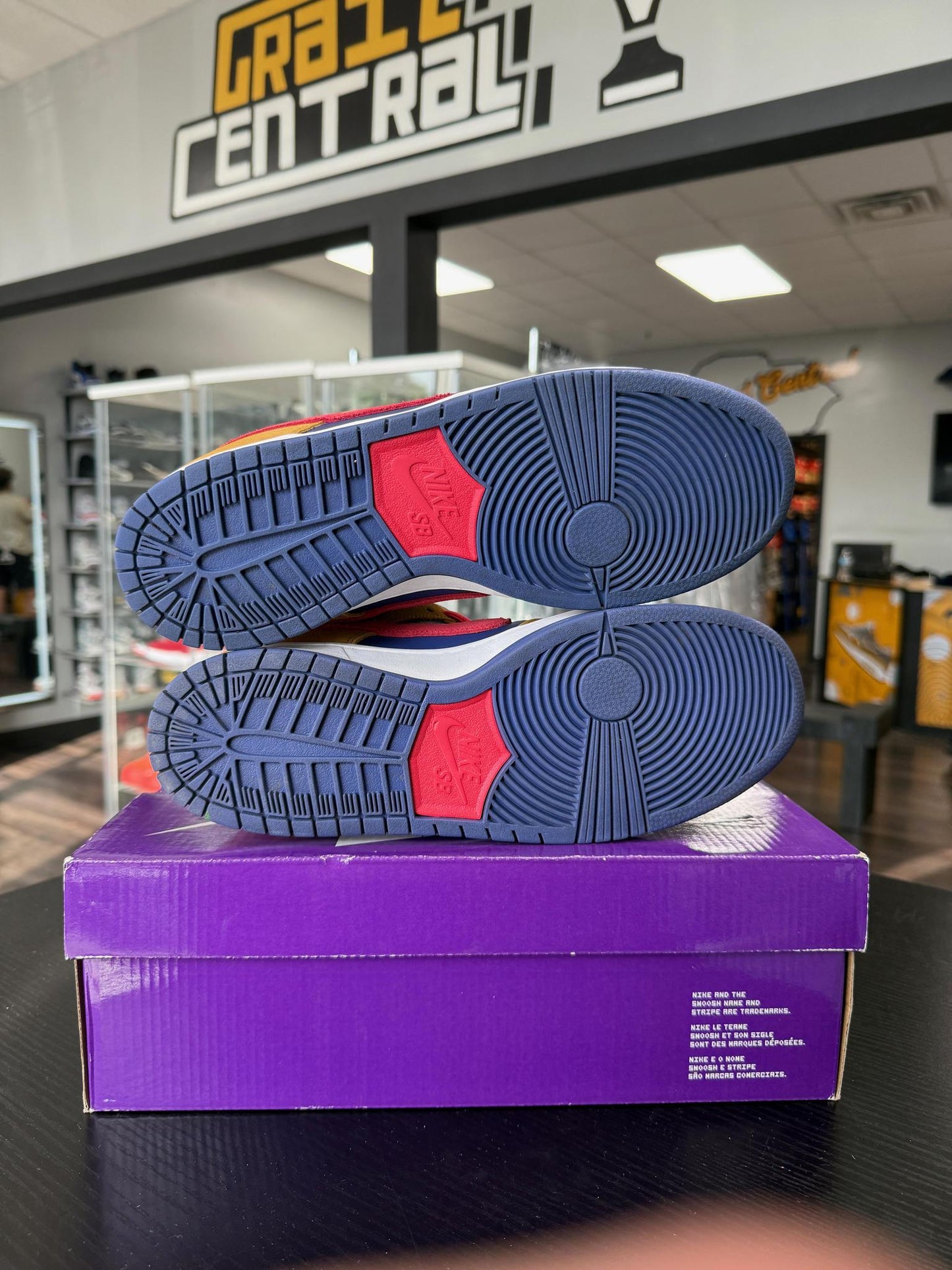 Dunk Low SB "Reverse Papa Bear" Used Size 10