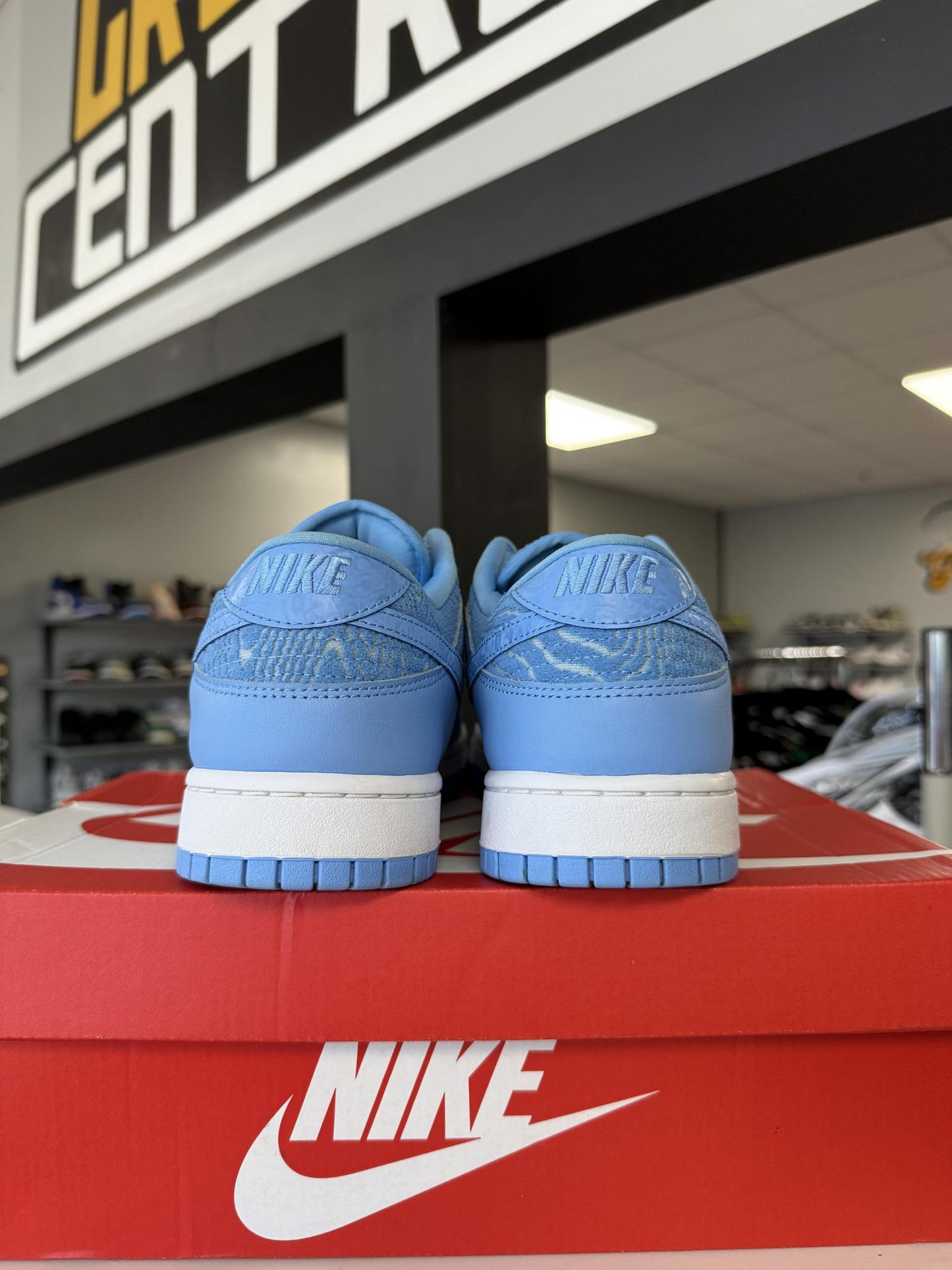 Dunk Low "Topography" Used Size 12