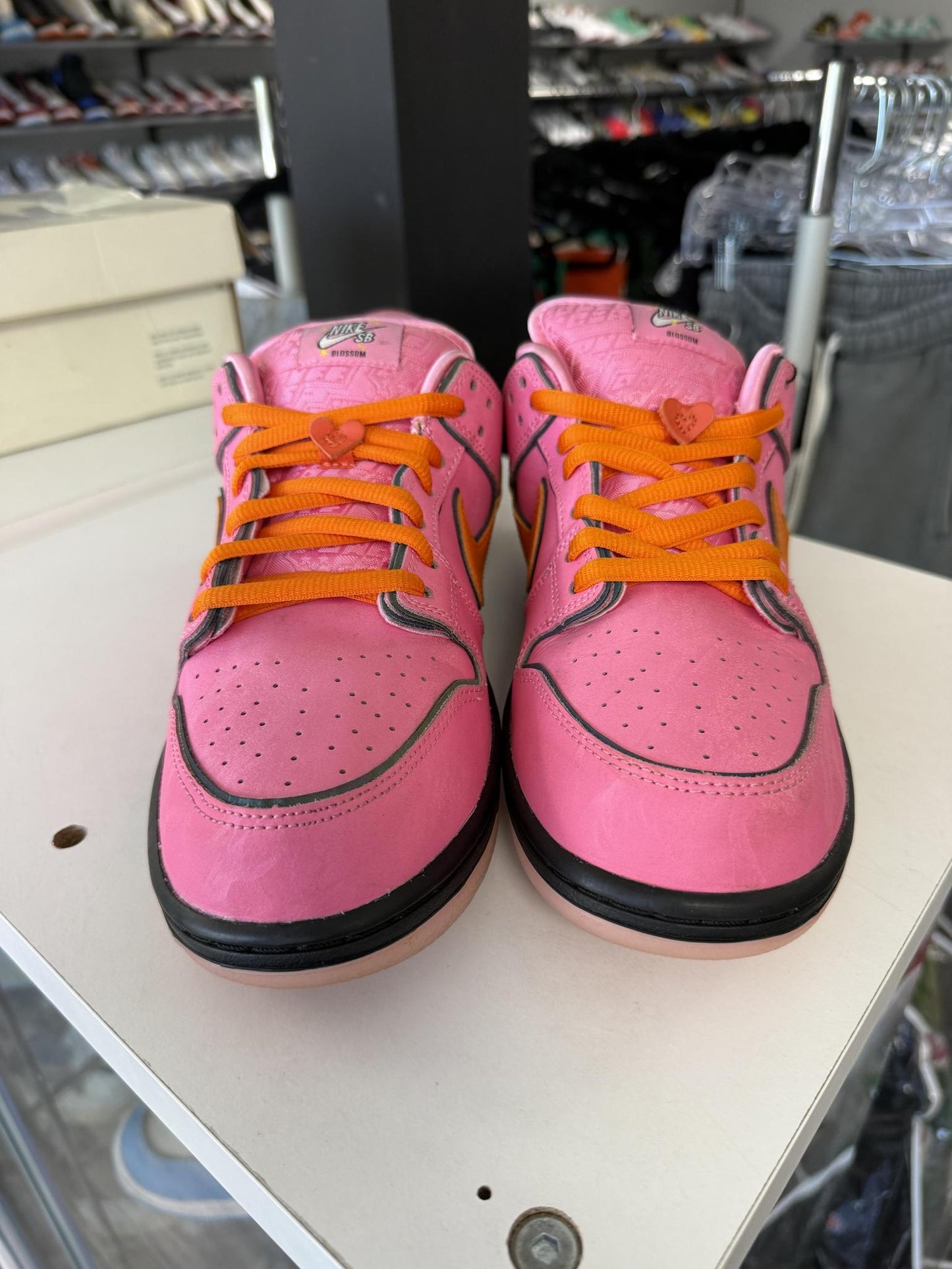 Dunk Low SB x Powerpuff Girls "Blossom" Used Size 10