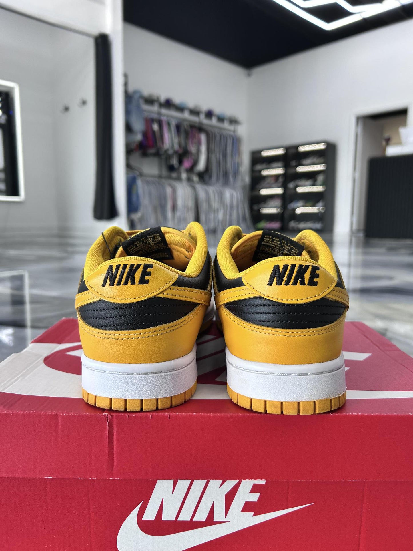 Nike Dunk Low "Goldenrod" Used Size 11