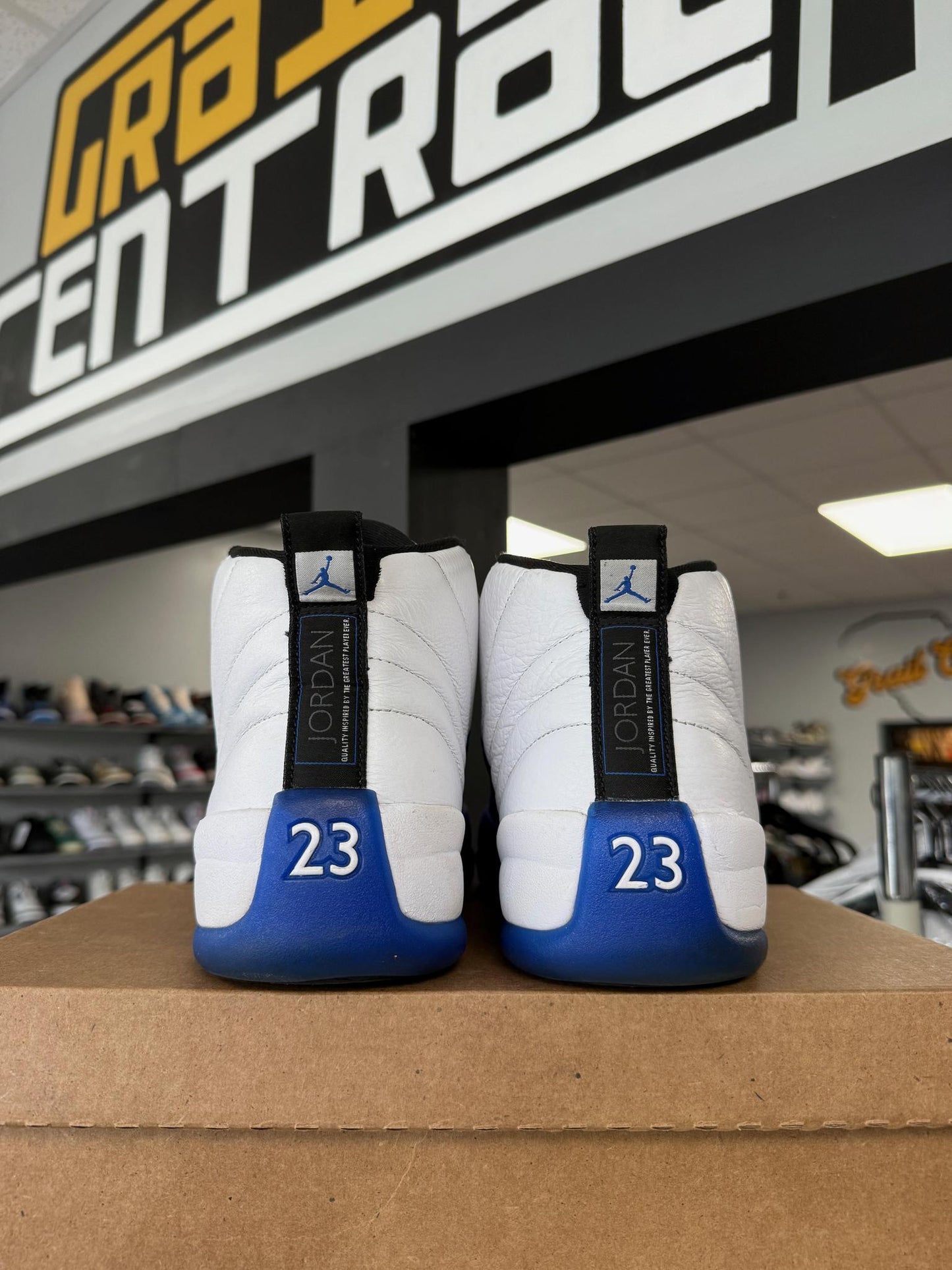 Jordan 12 "Blueberry" Used Size 11.5