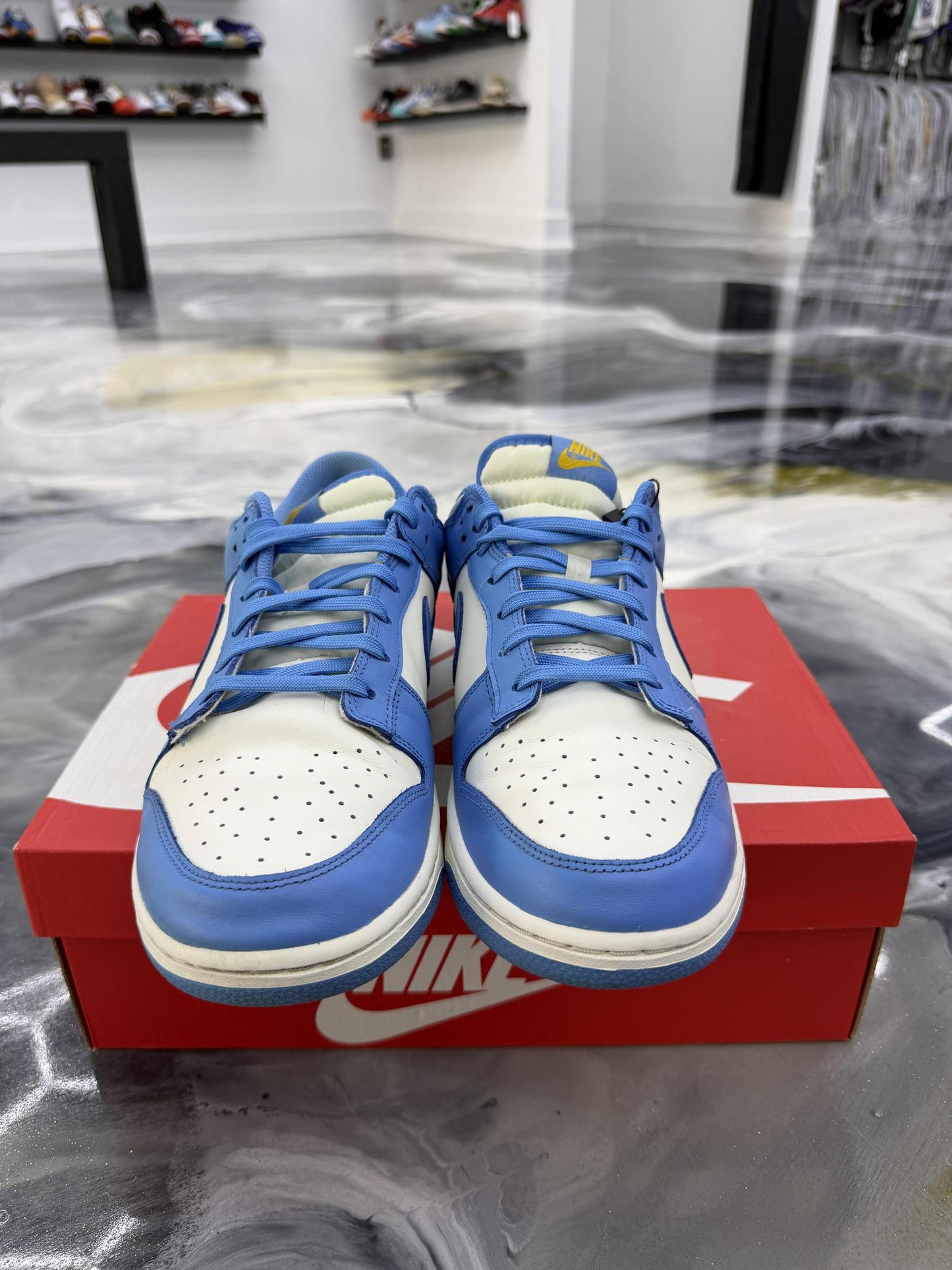Nike Dunk Low Coast Used Size 10.5