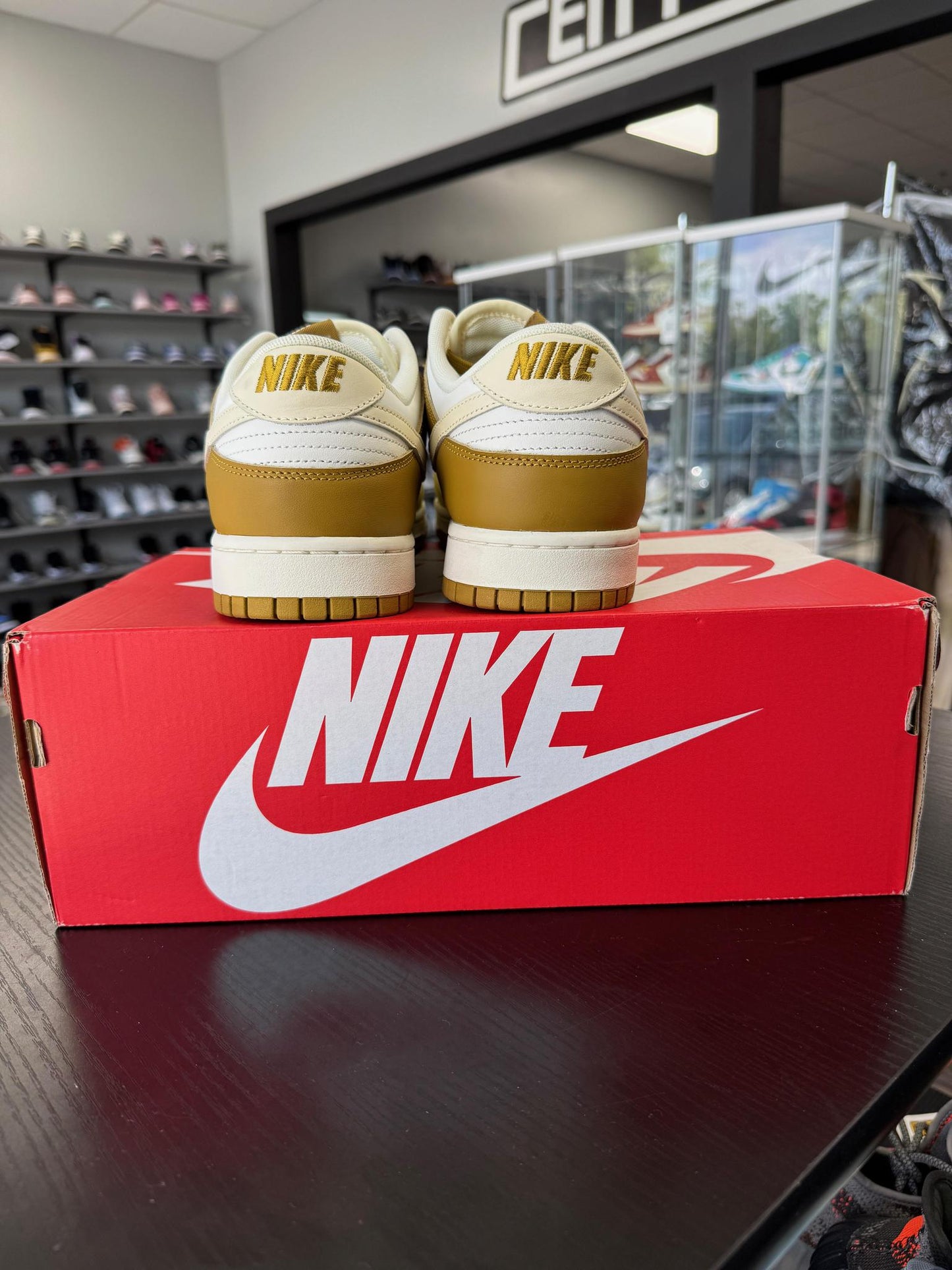 Nike Dunk Low "Bronzine" Used Size 13