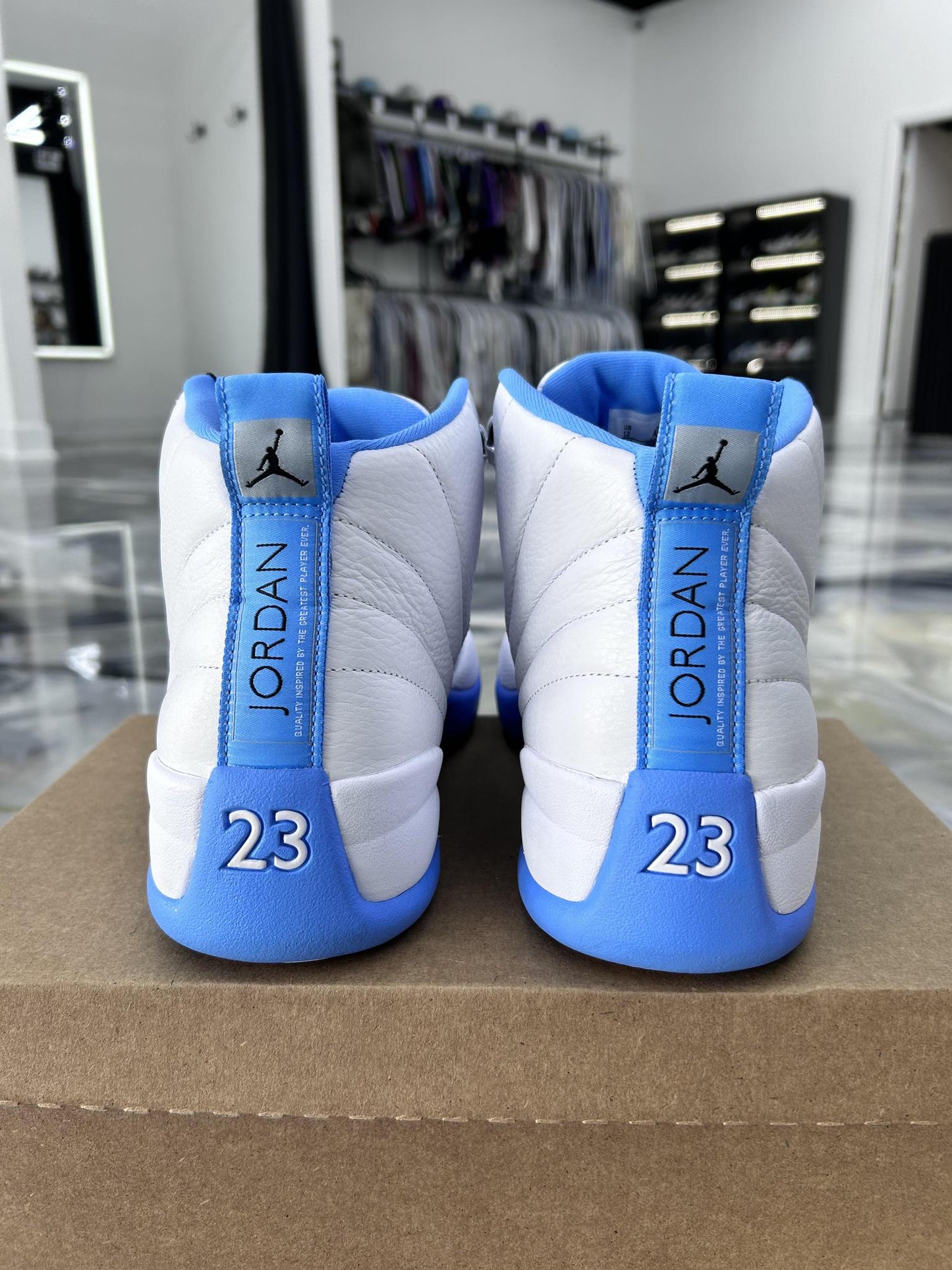 Jordan 12 "Melo" Used Size 12