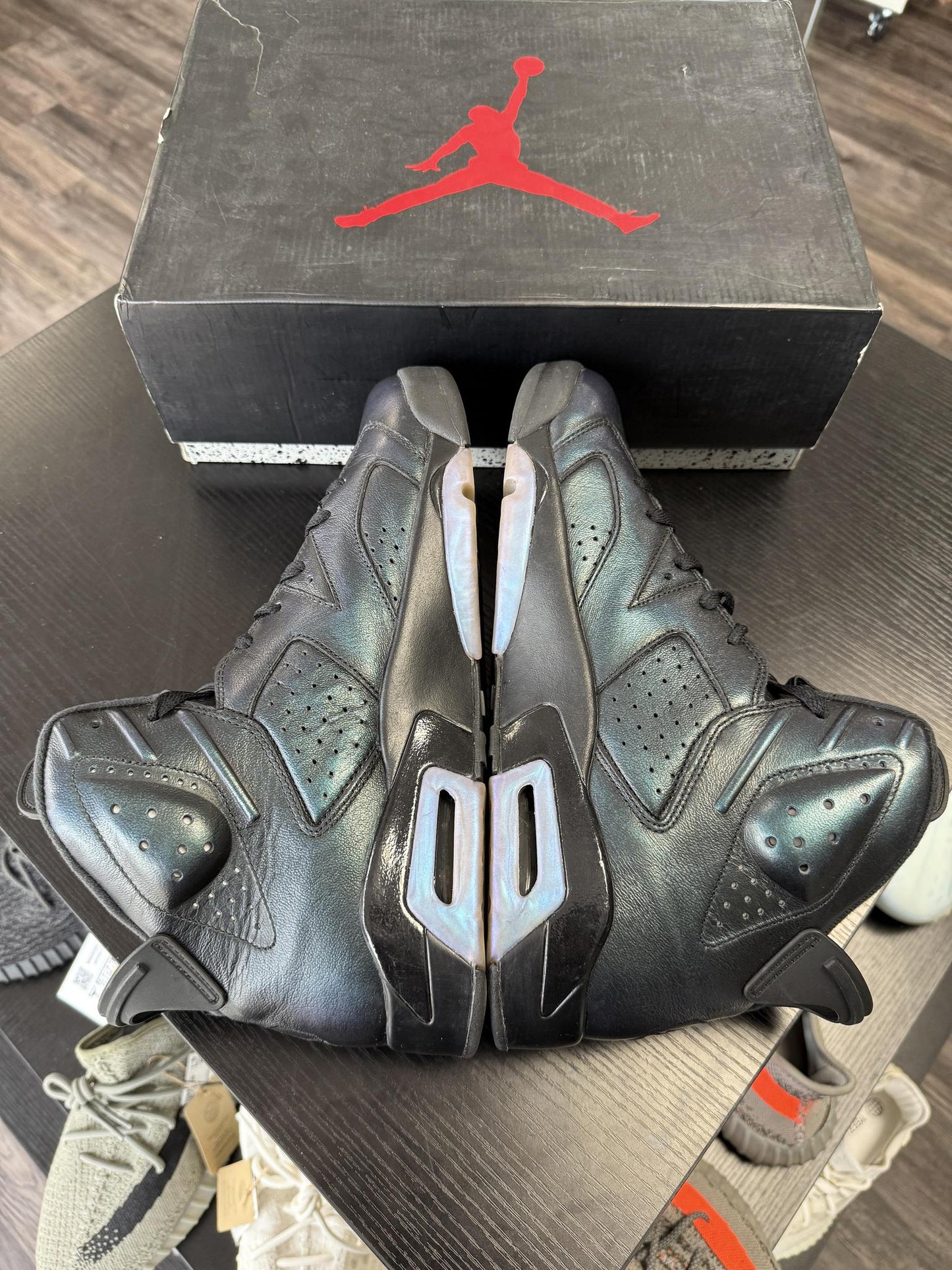Jordan 6 "All Star Chameleon" Used Size 12