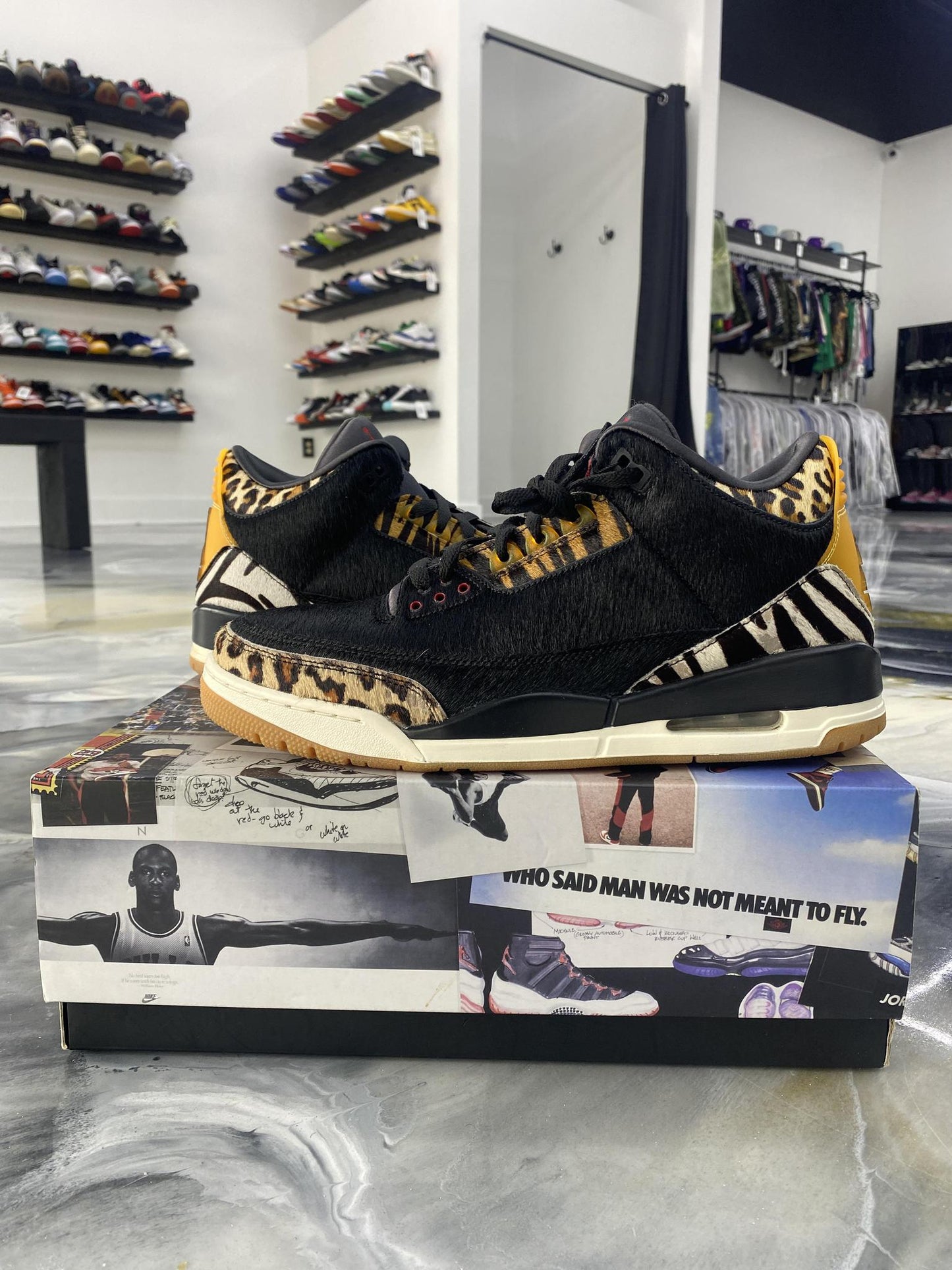 Jordan 3 "Animal Ambition" Used Size 12