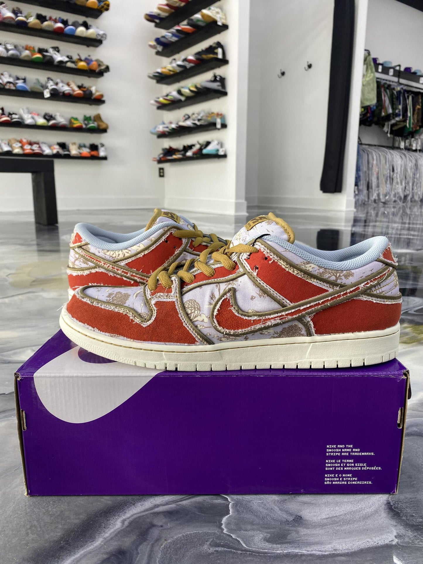 Nike SB Dunk Low "City of Style" Used Size 15