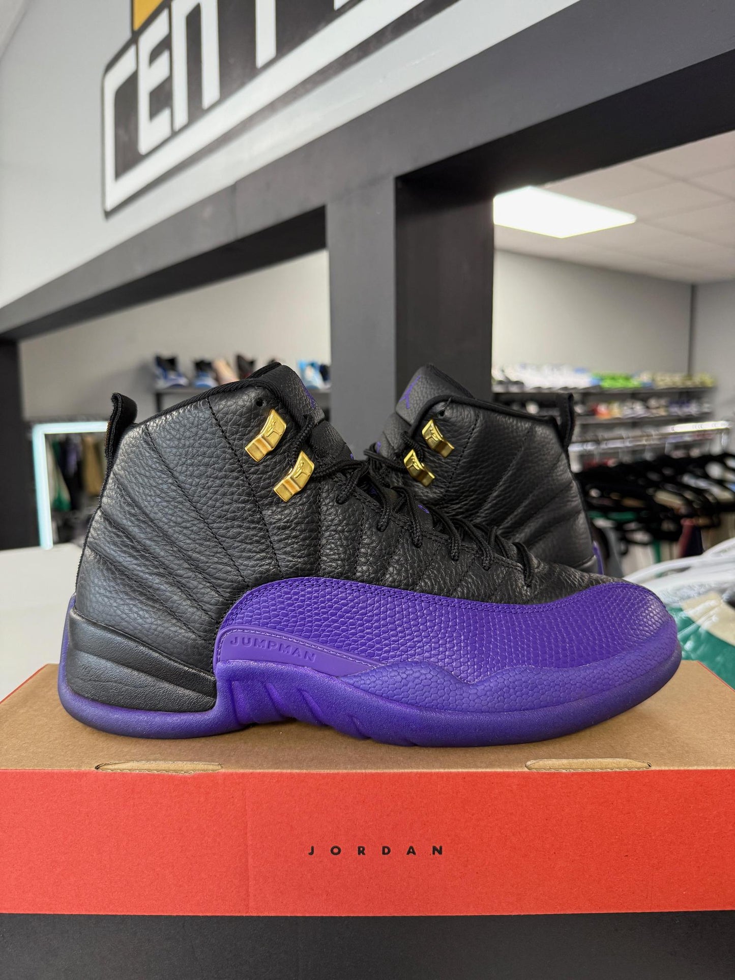 Jordan 12 "Field Purple" Used Size 10