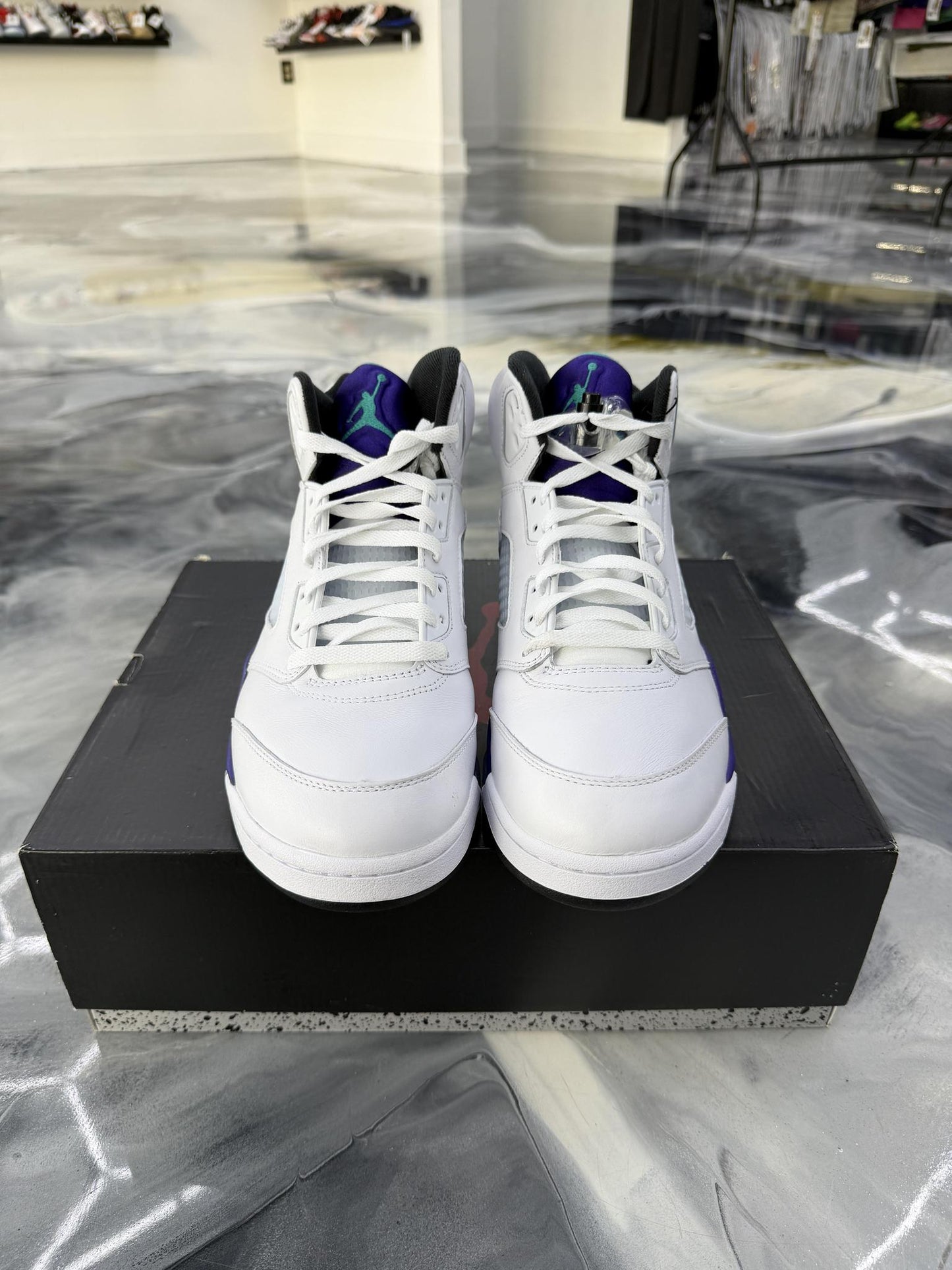 Jordan 5 "Grape" Used Size 11
