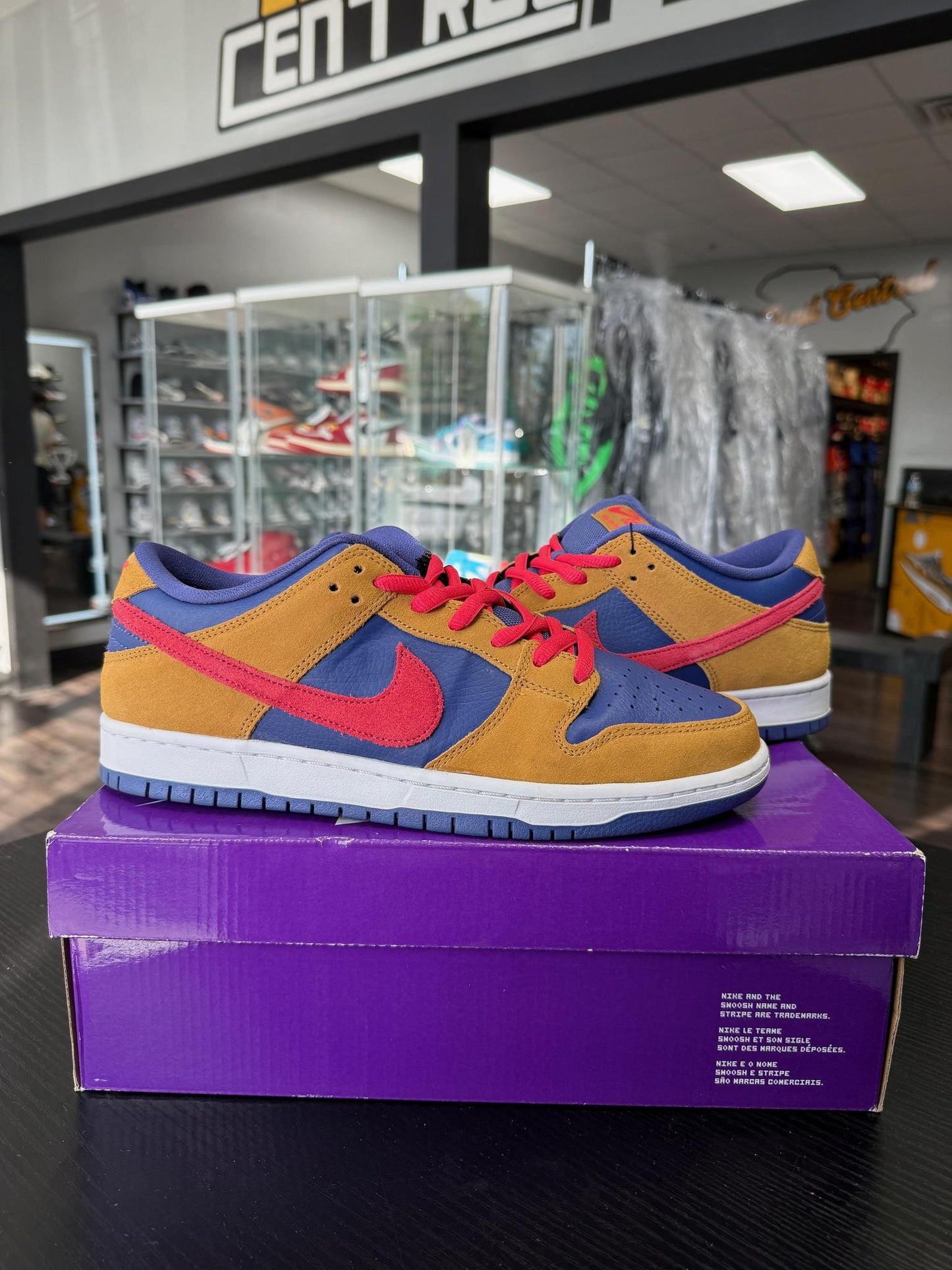 Dunk Low SB "Reverse Papa Bear" Used Size 10