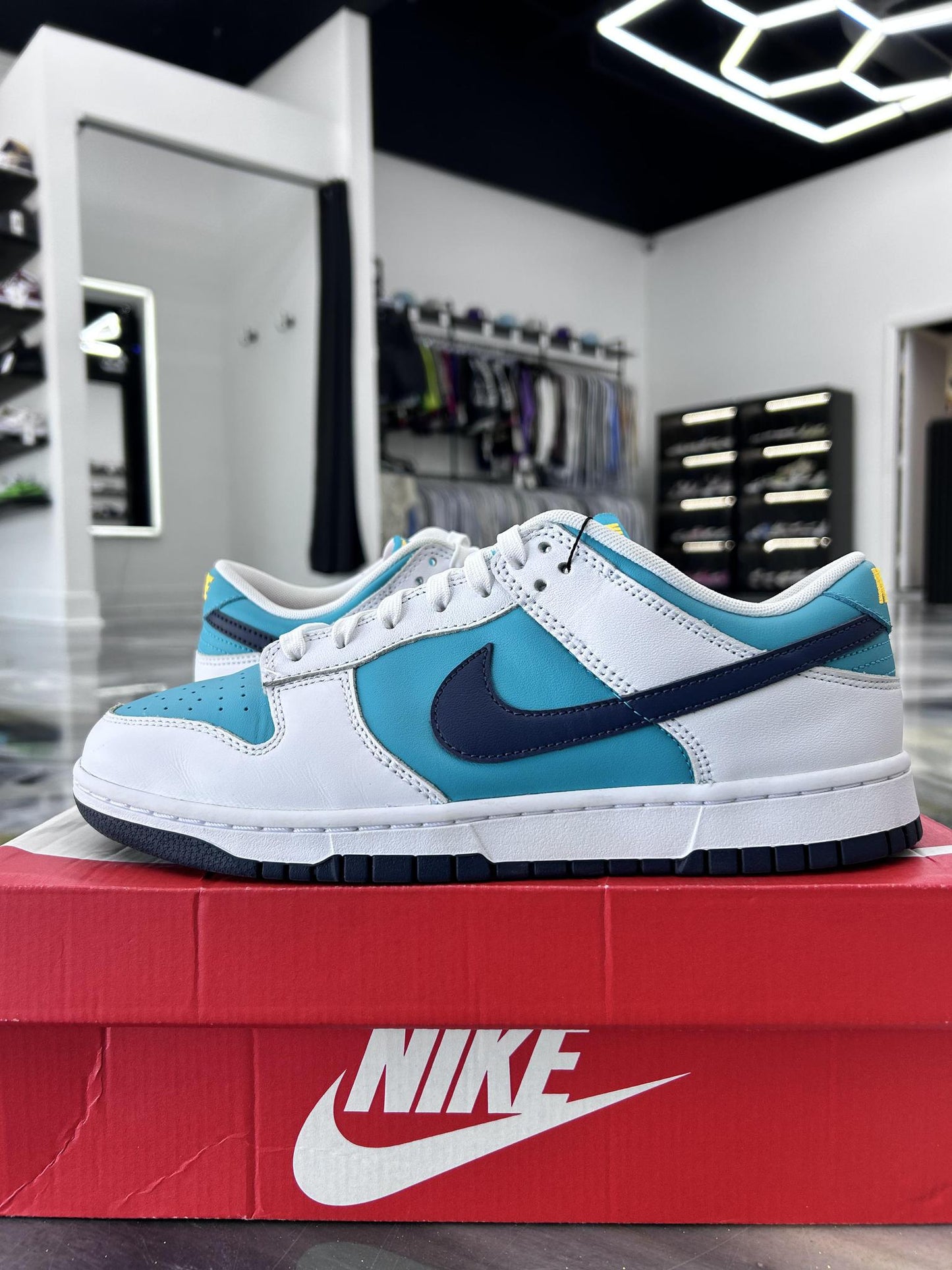 Nike Dunk Low "Dusty Cactus" Used Size 10.5