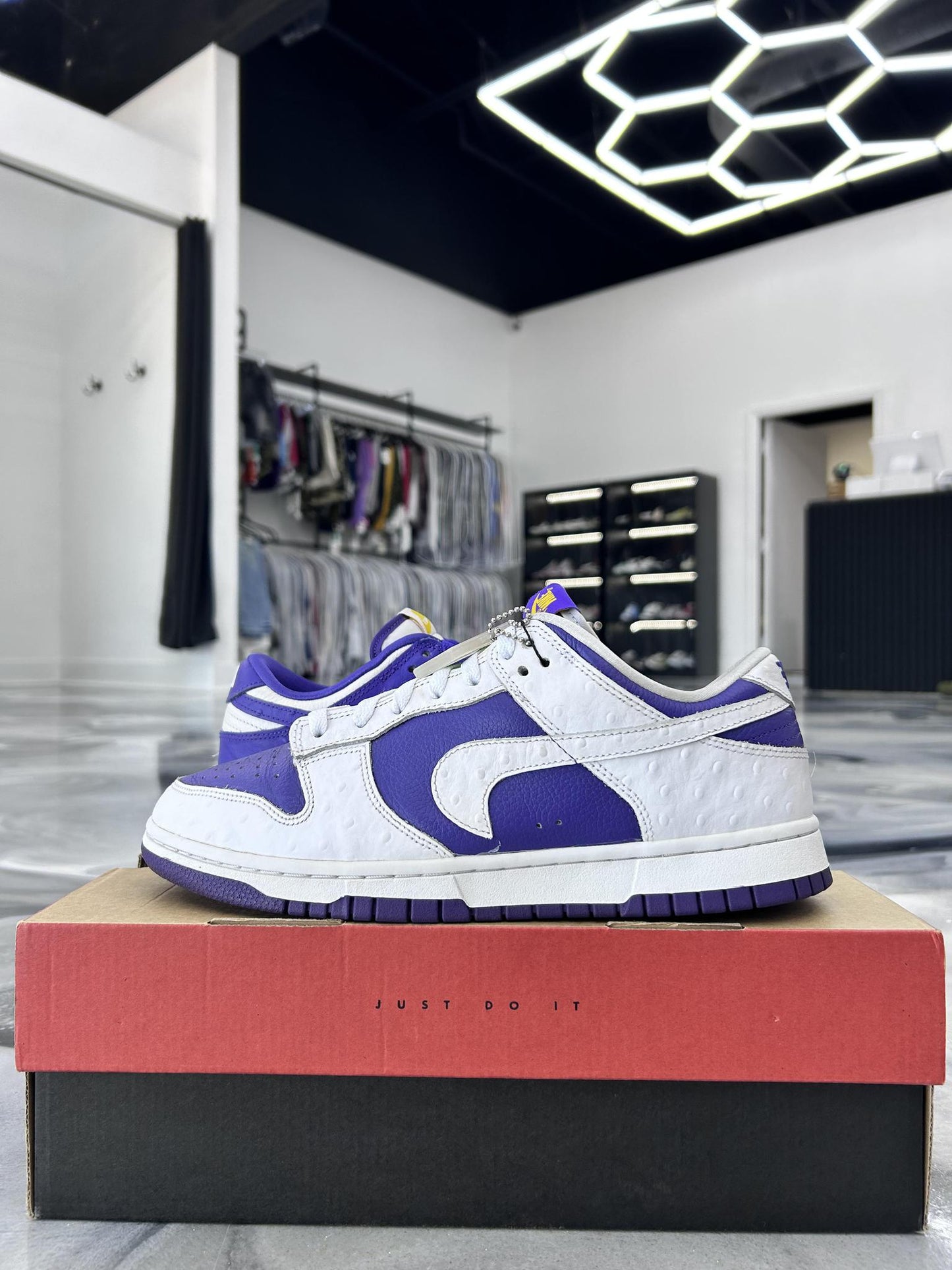 Nike Dunk Low "Flip the Old School" Used Size 8.5M/10W