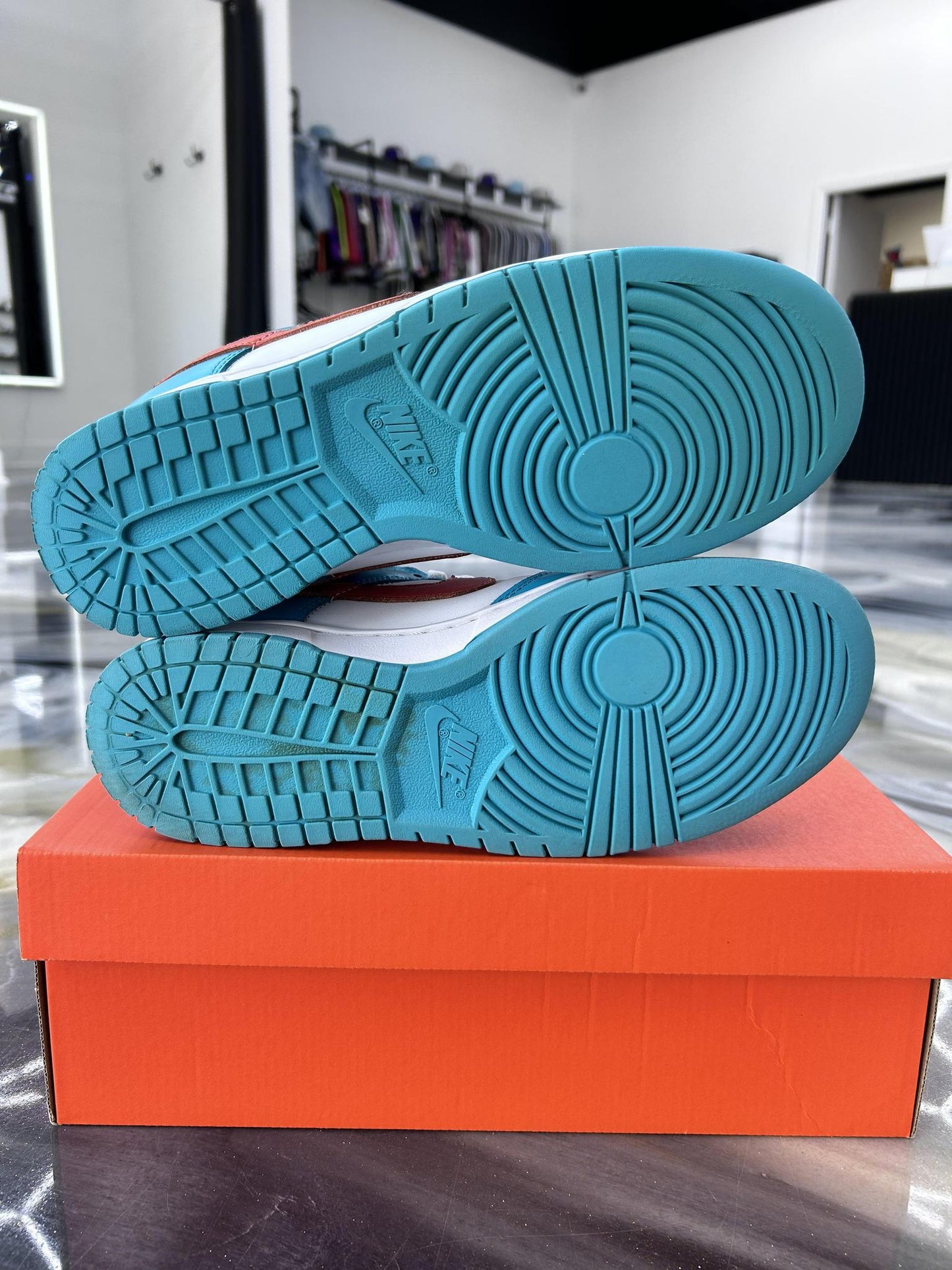Nike Dunk Low "Dolphins" Used Size 9