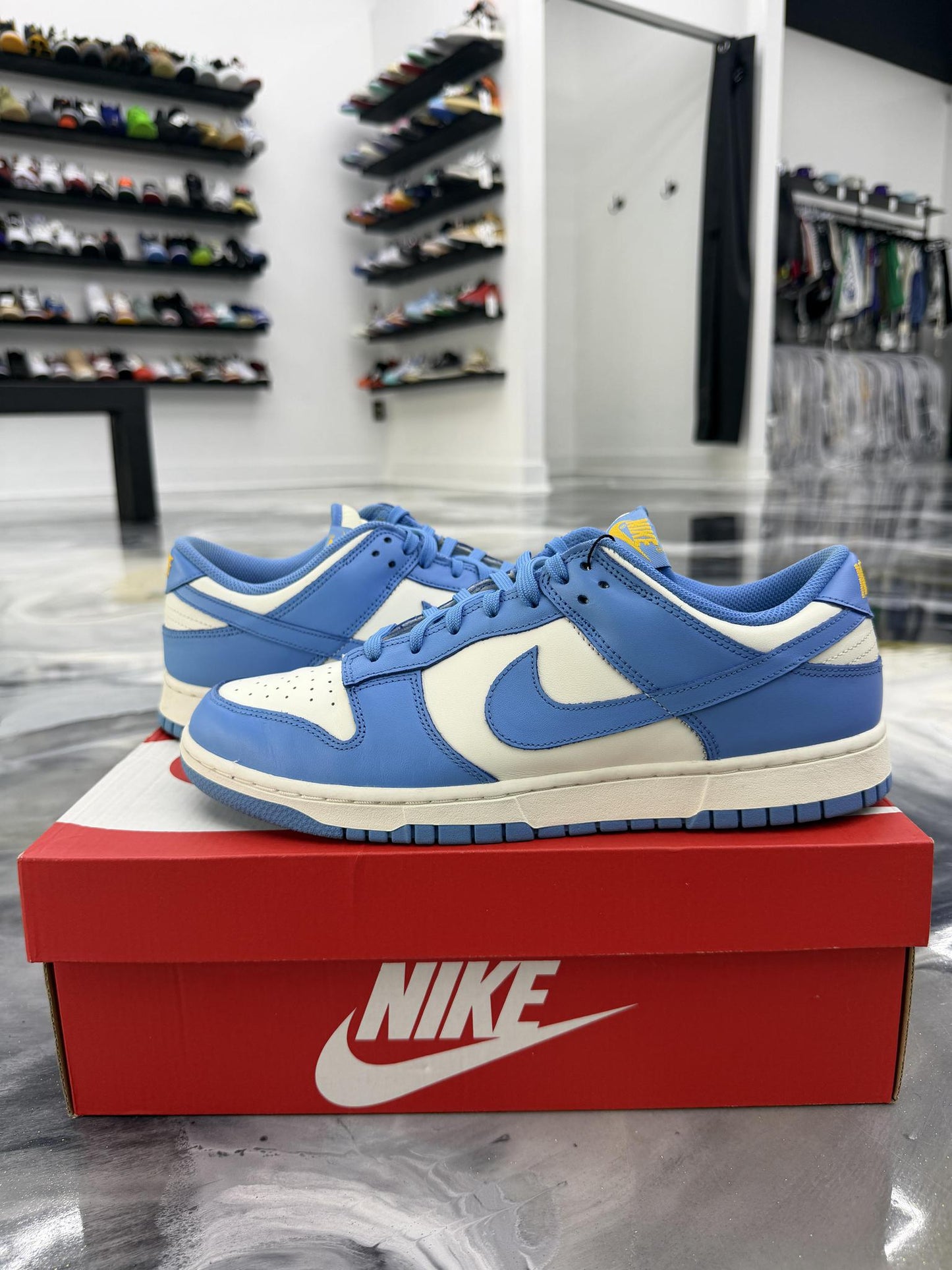 Nike Dunk Low Coast Used Size 10.5
