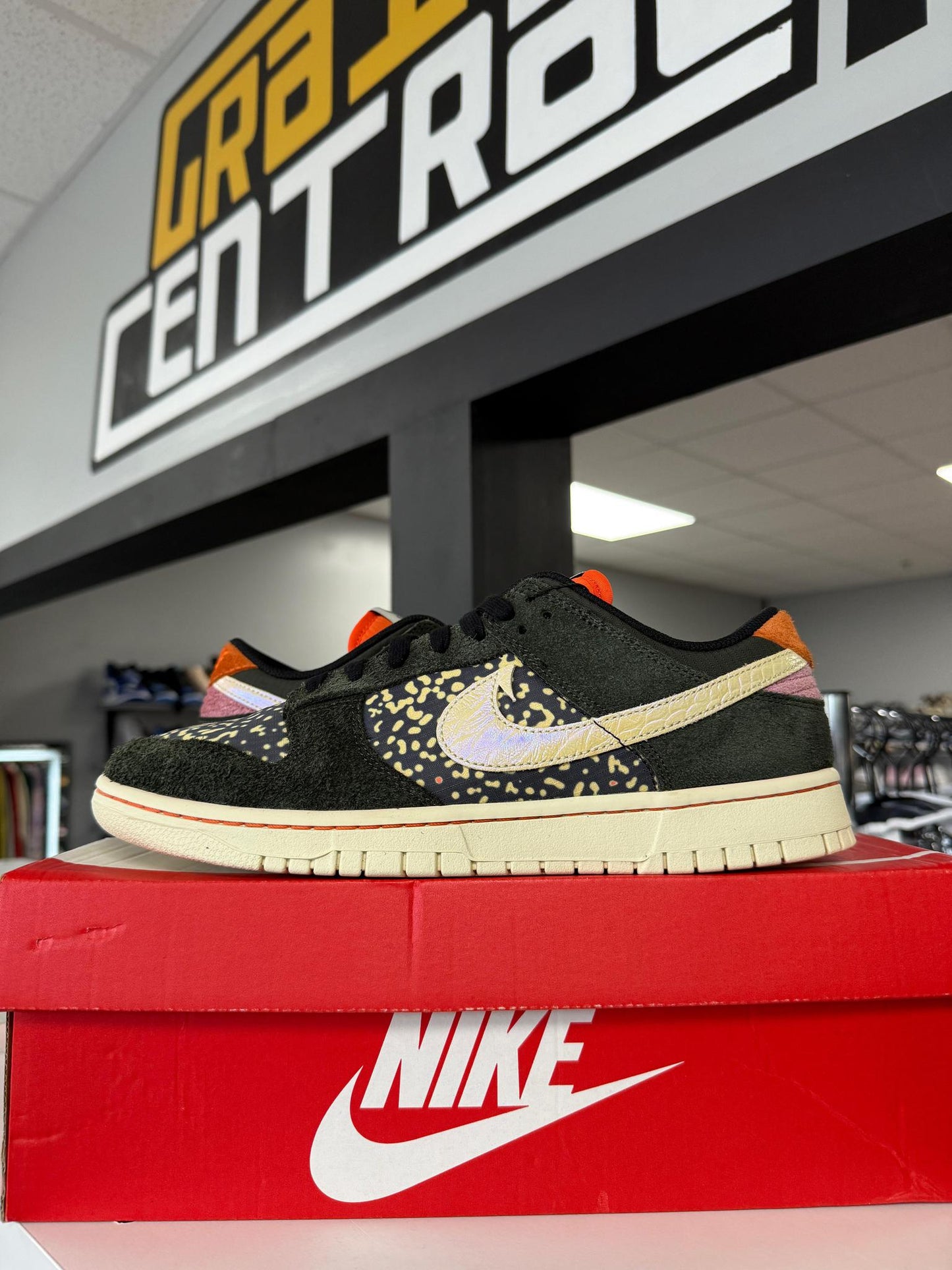 Nike Dunk Low "Gone Fishing" Used Size 10