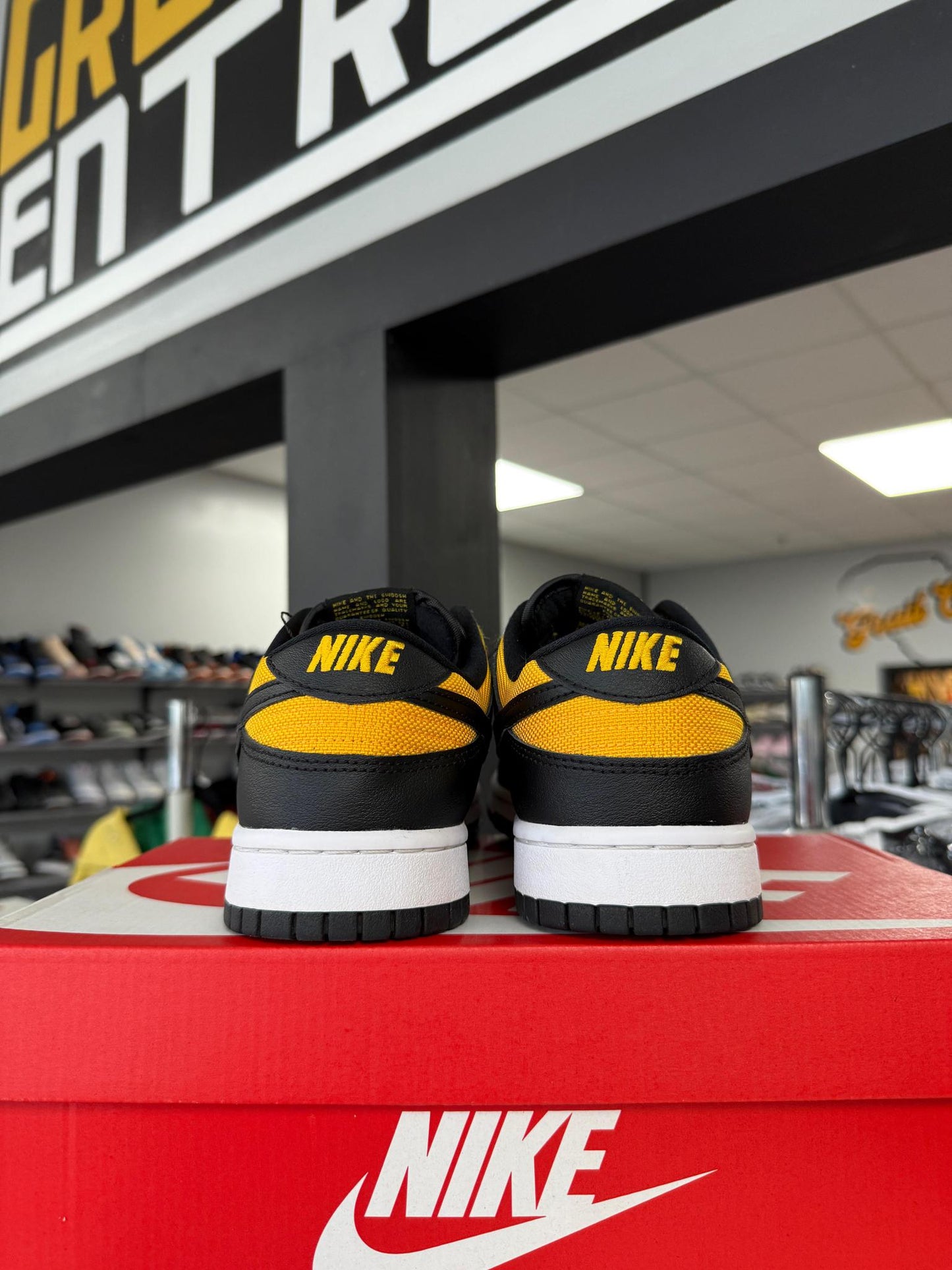 Nike Dunk Low "Reverse Goldenrod" Used Size 9