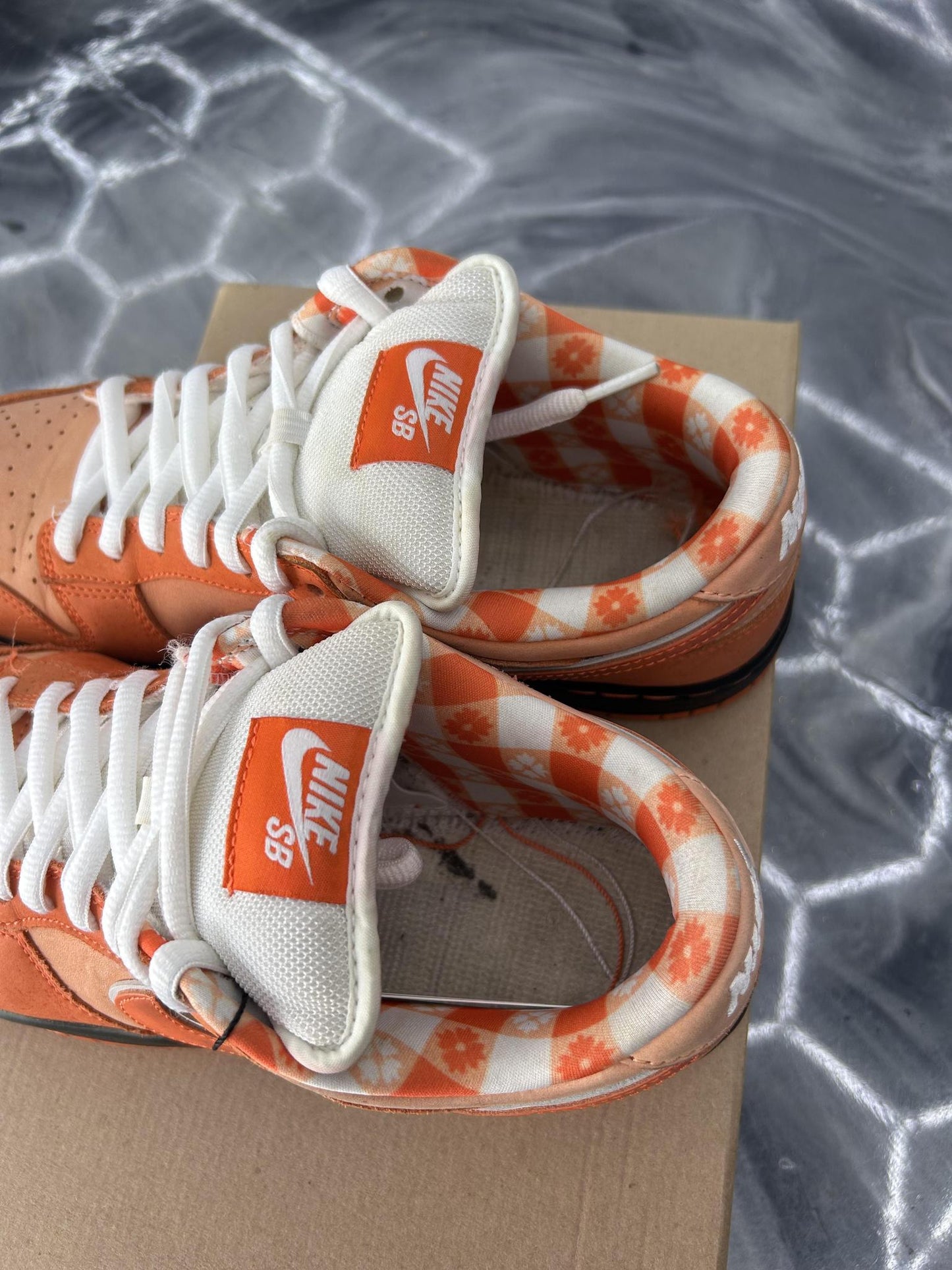 Nike SB Dunk Concepts "Orange Lobster" Used Size 10