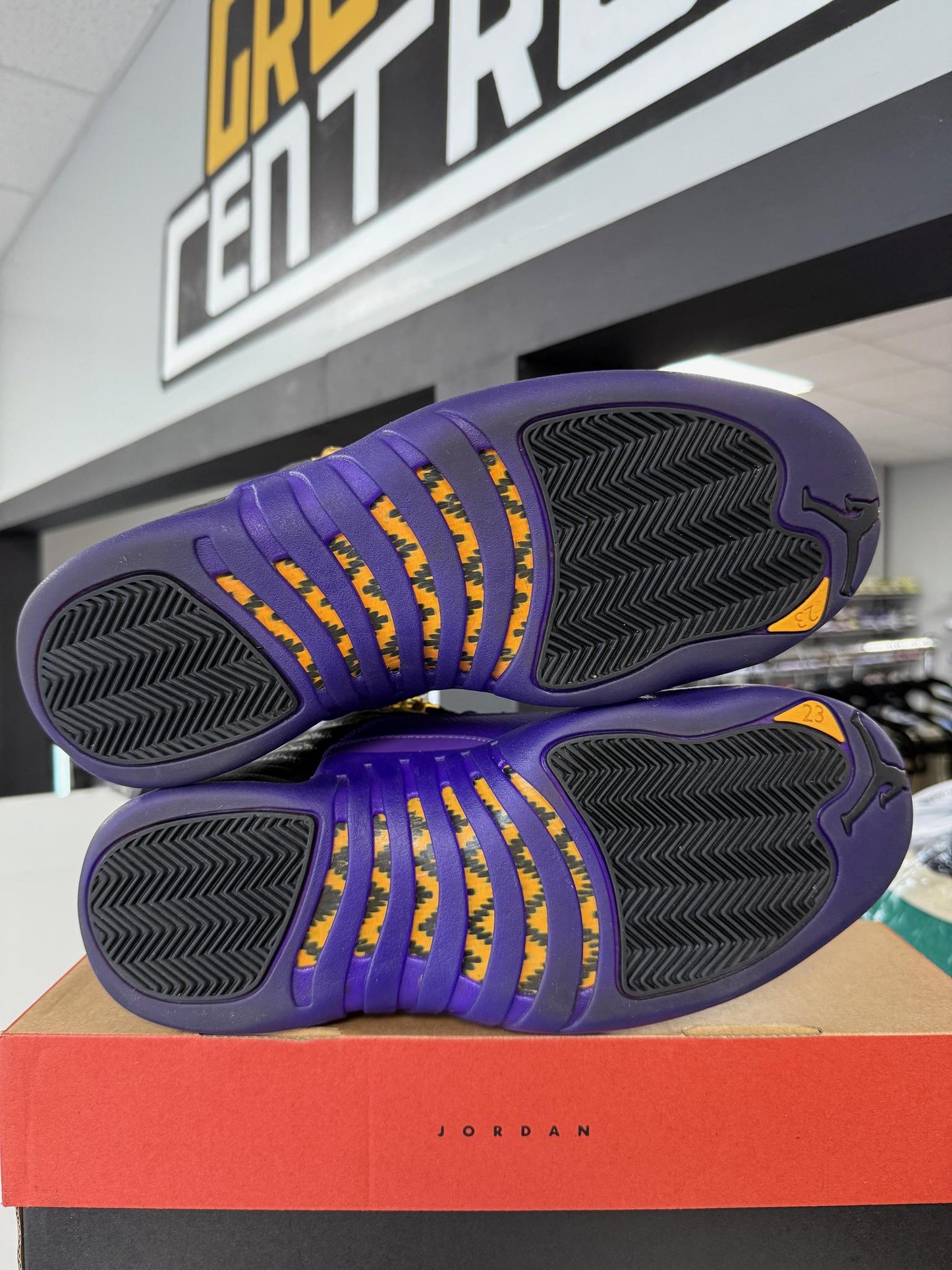 Jordan 12 "Field Purple" Used Size 10