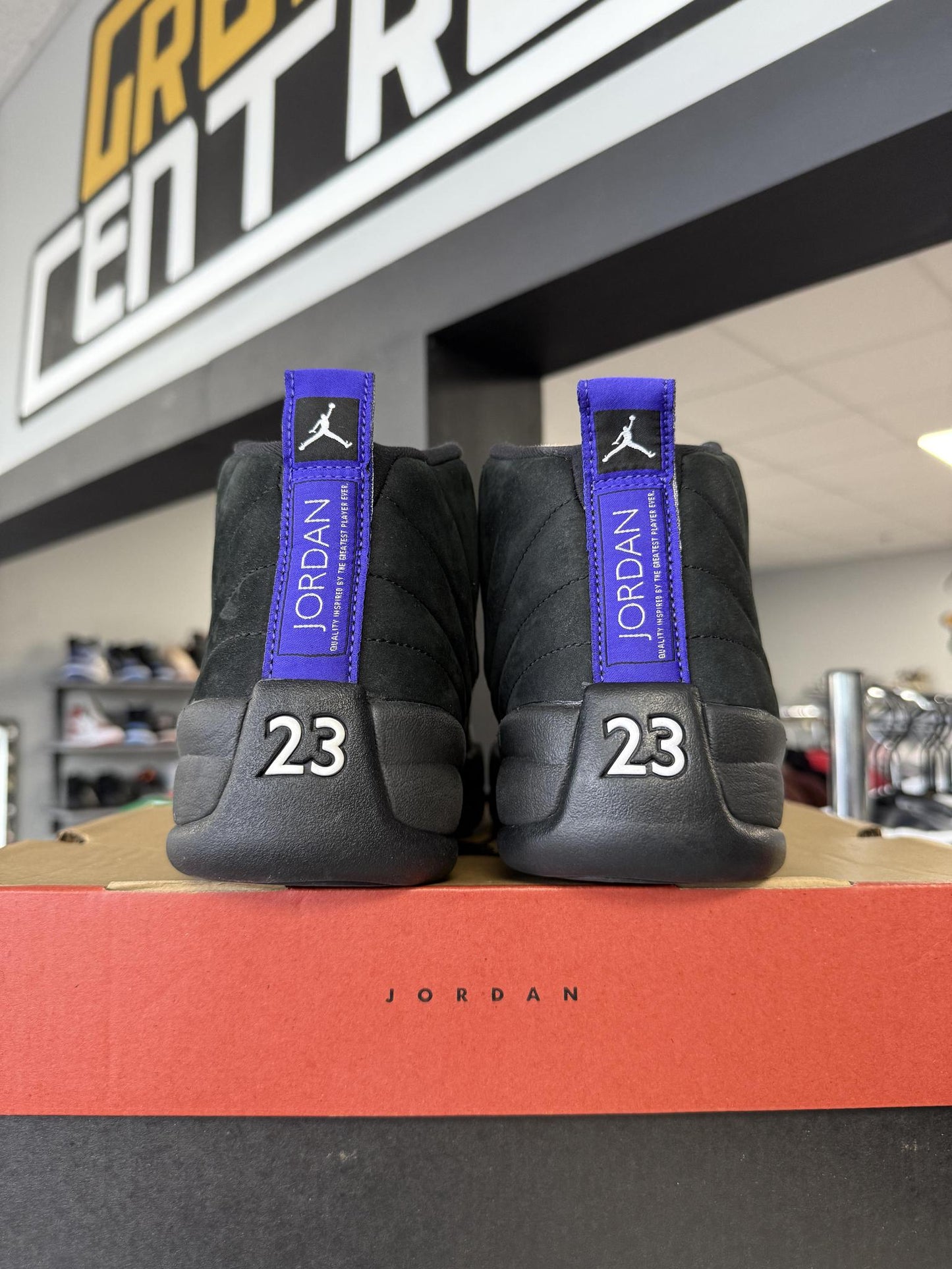 Jordan 12 "Dark Concord" Used Size 8