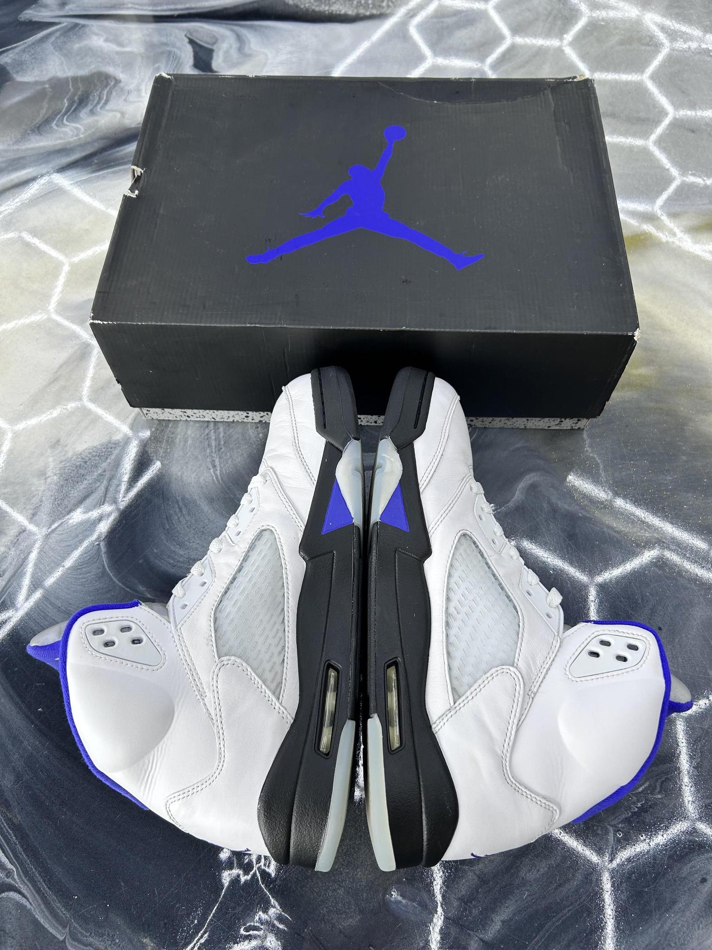 Jordan 5 "Concord" Used Size 12