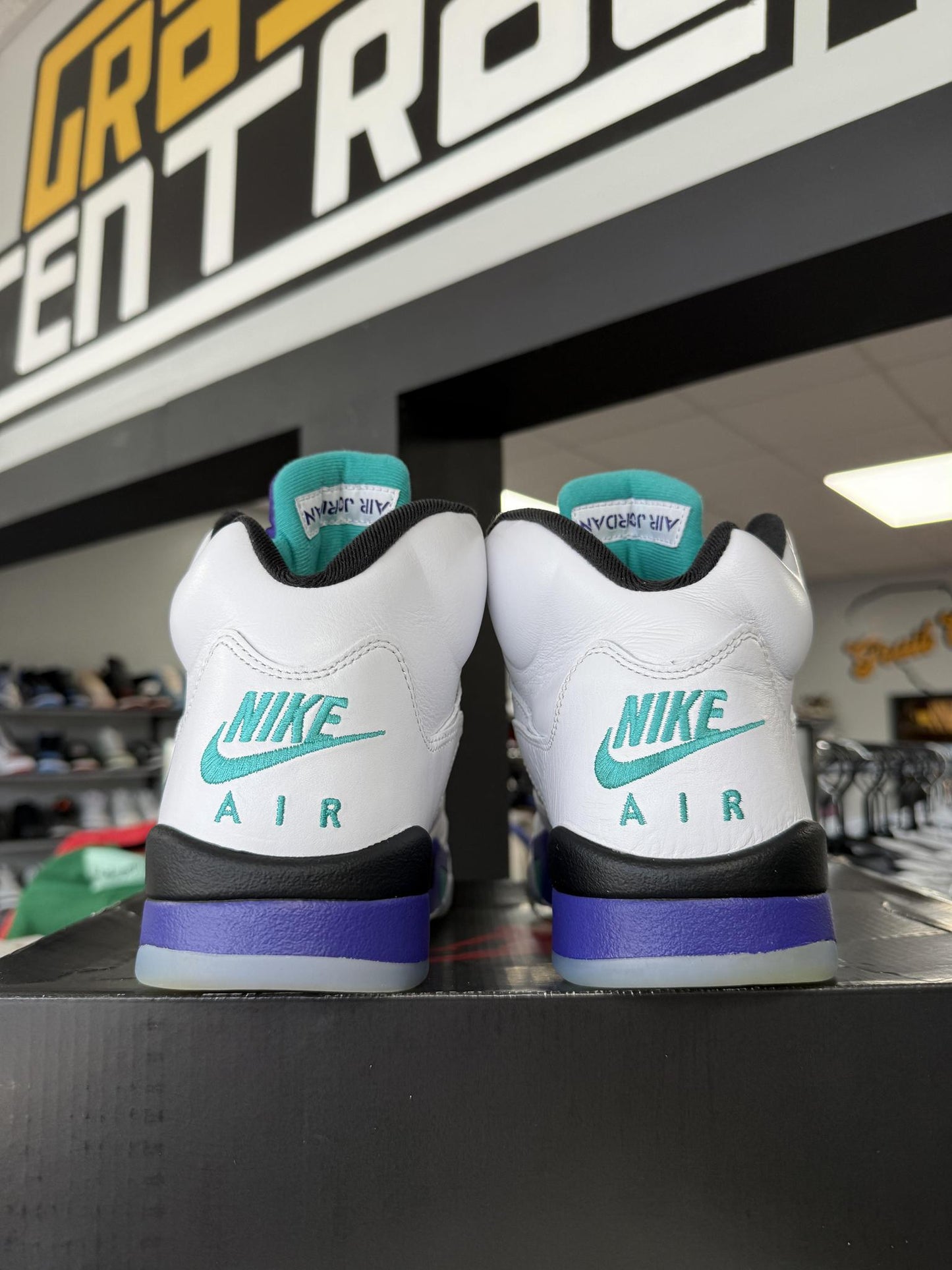 Jordan 5 "Grape" Used Size 9.5