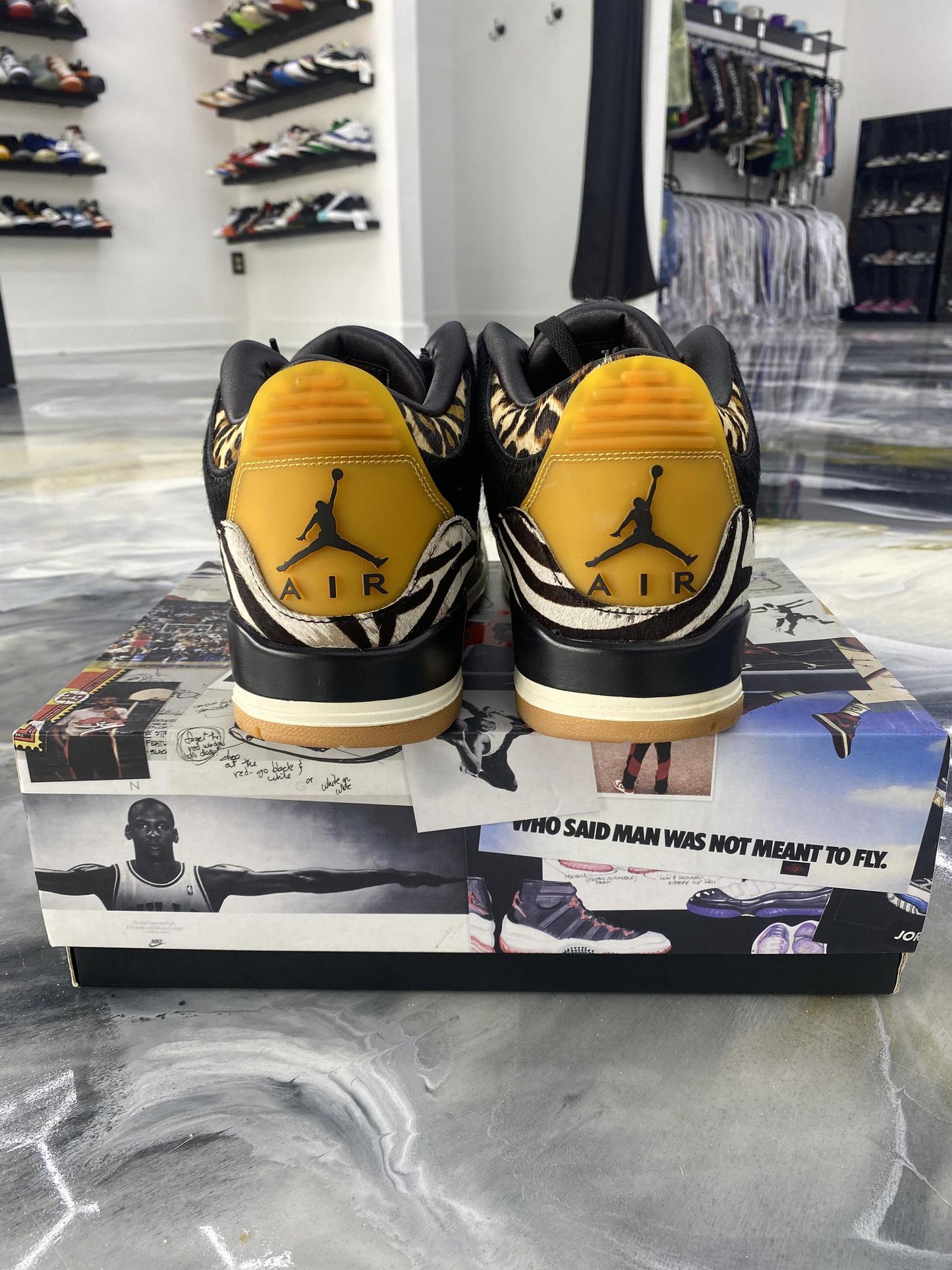 Jordan 3 "Animal Ambition" Used Size 12