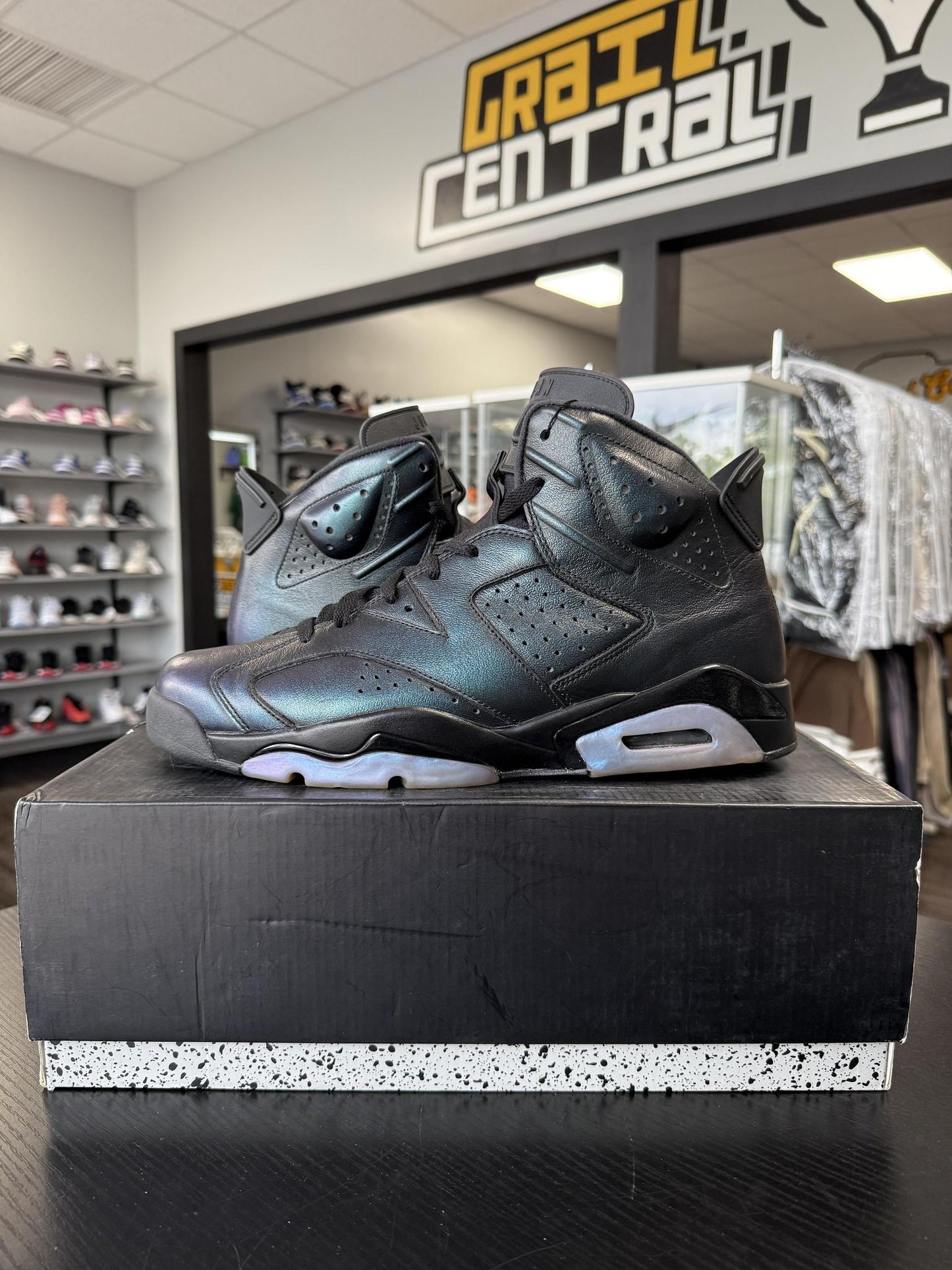 Jordan 6 "All Star Chameleon" Used Size 12