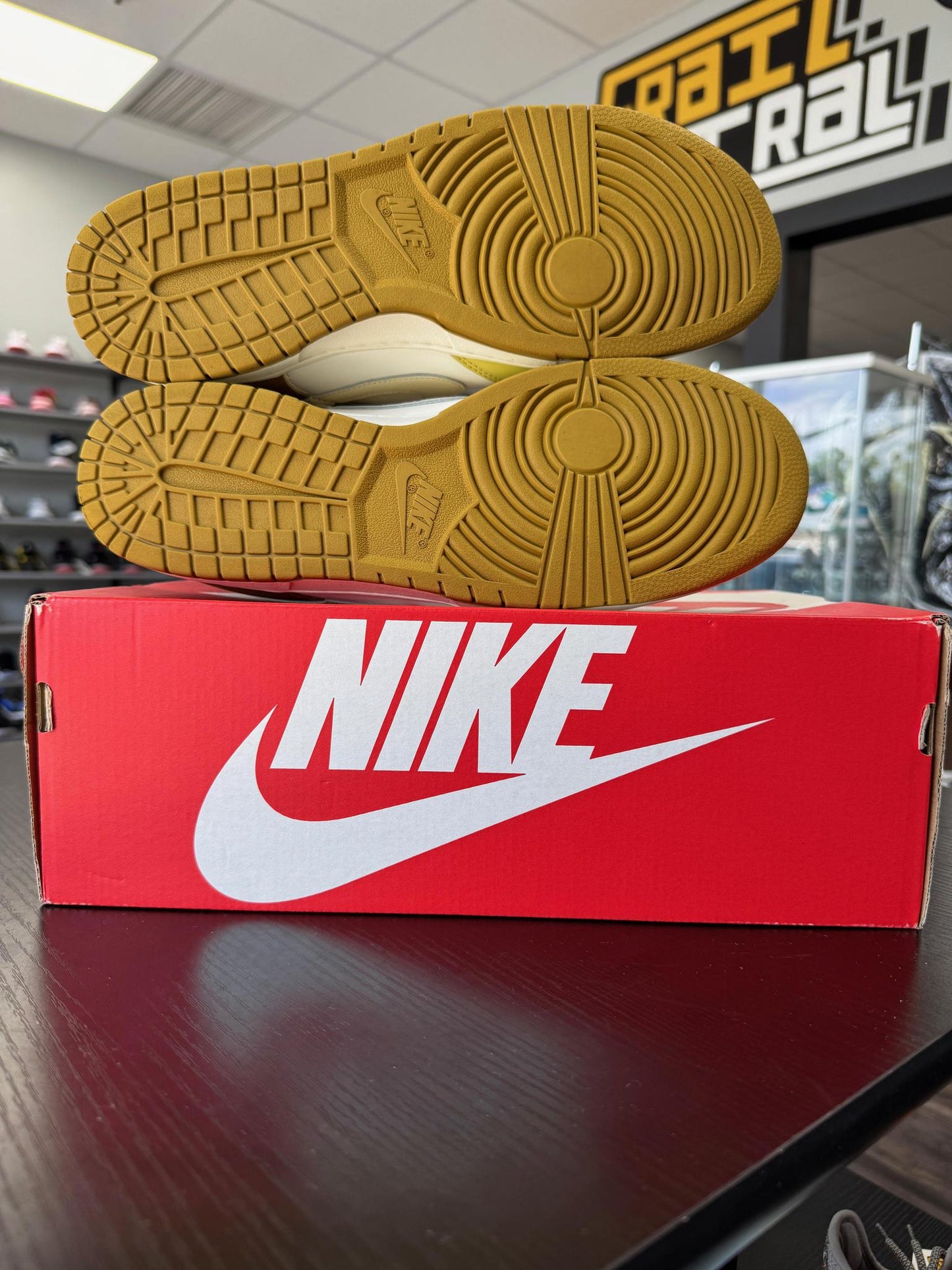 Nike Dunk Low "Bronzine" Used Size 13