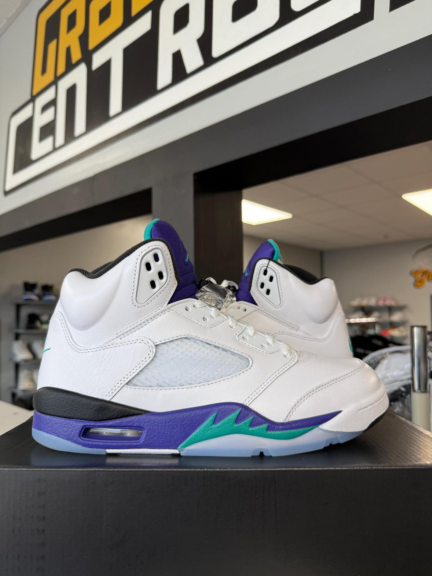 Jordan 5 "Grape" Used Size 9.5