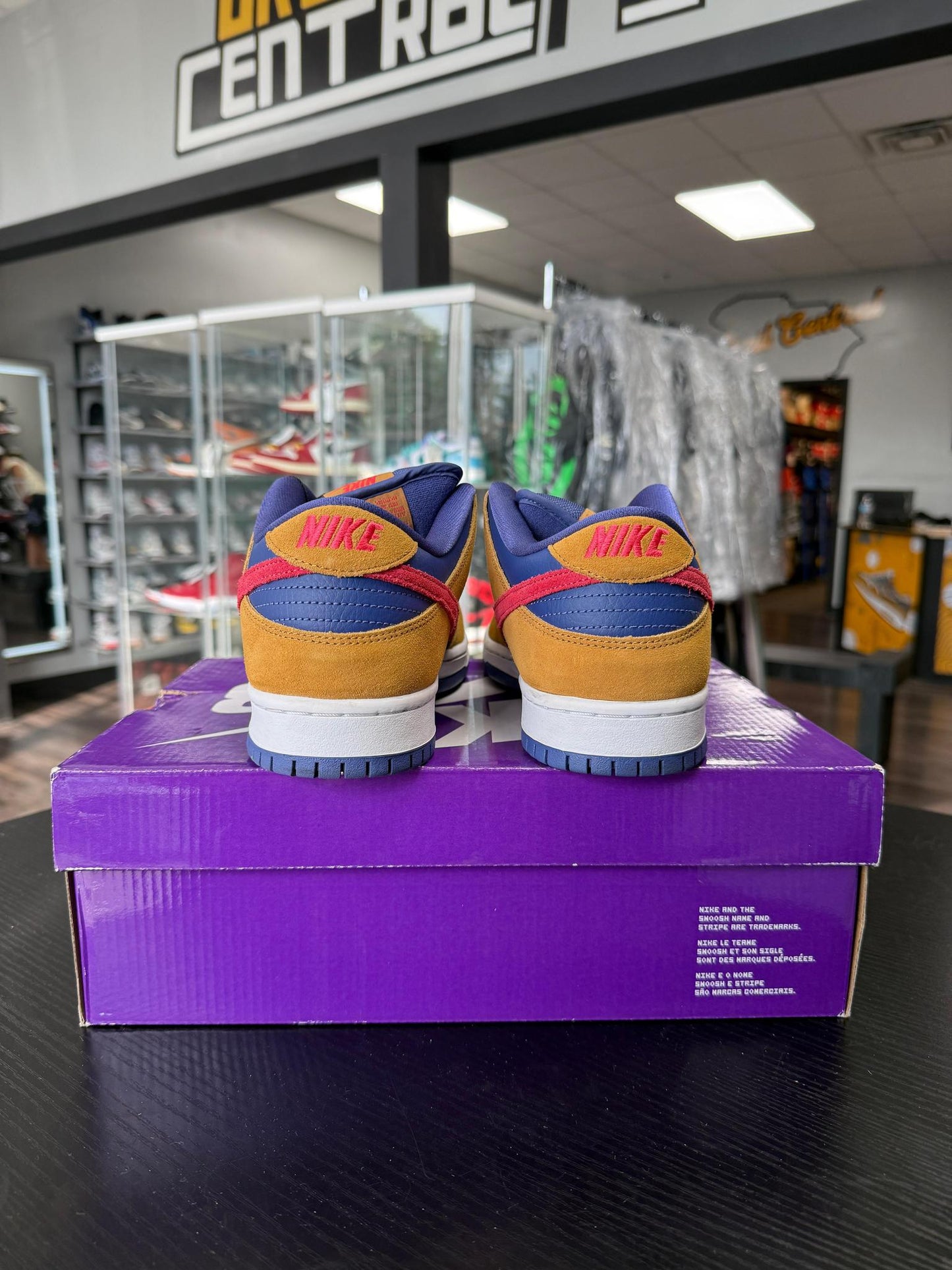 Dunk Low SB "Reverse Papa Bear" Used Size 10