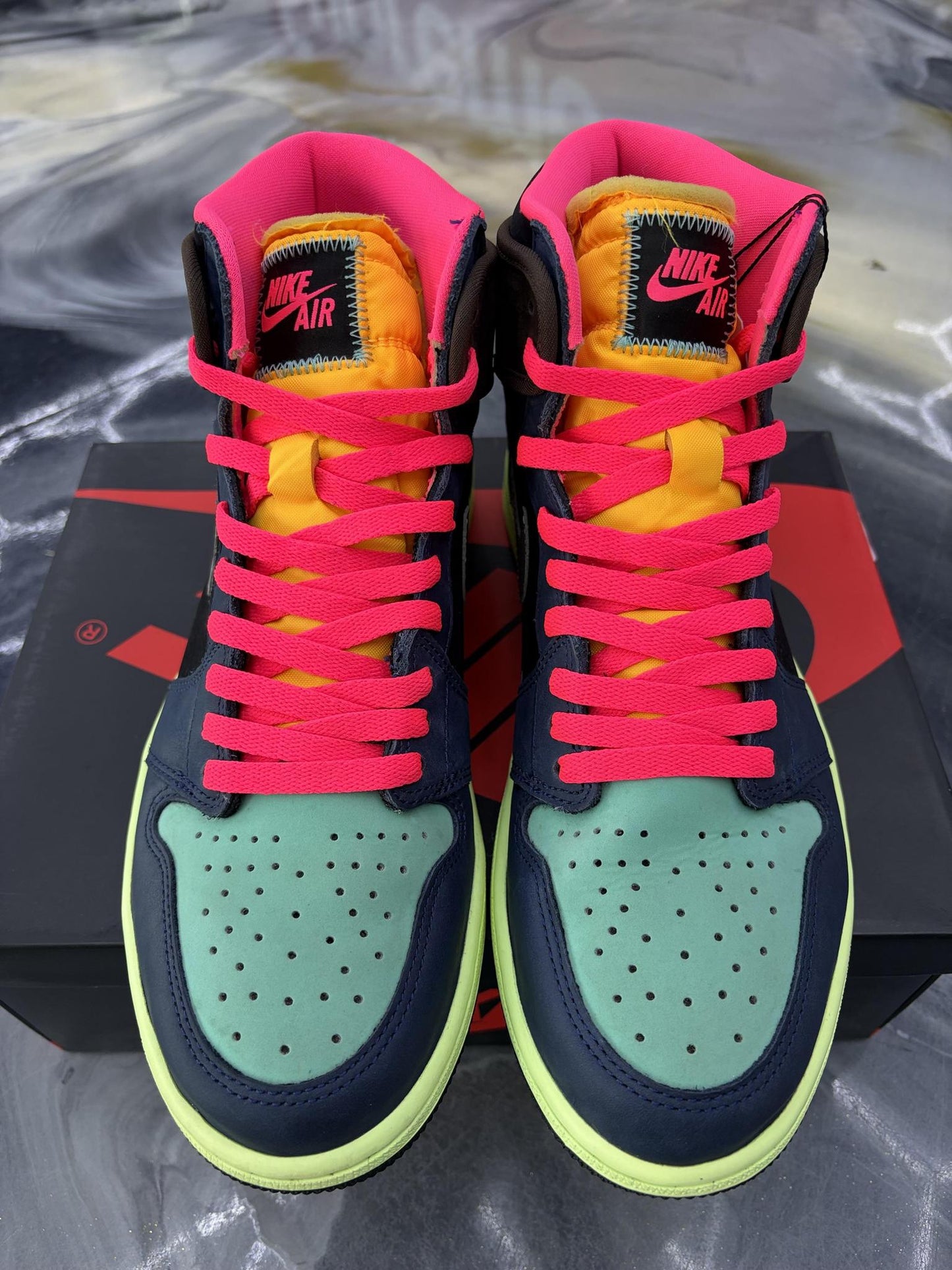 Jordan 1 "Biohack" Used Size 9.5