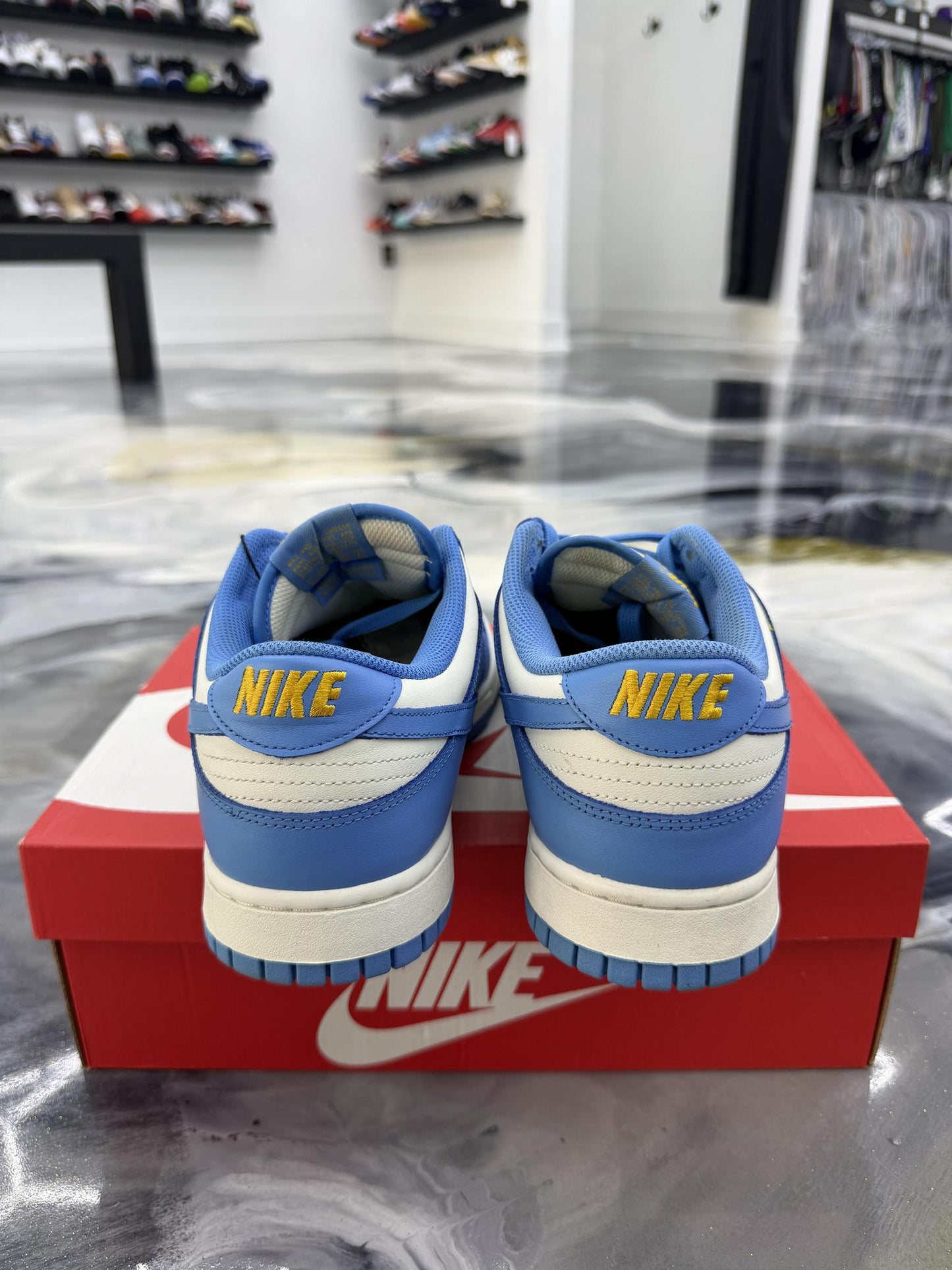 Nike Dunk Low Coast Used Size 10.5